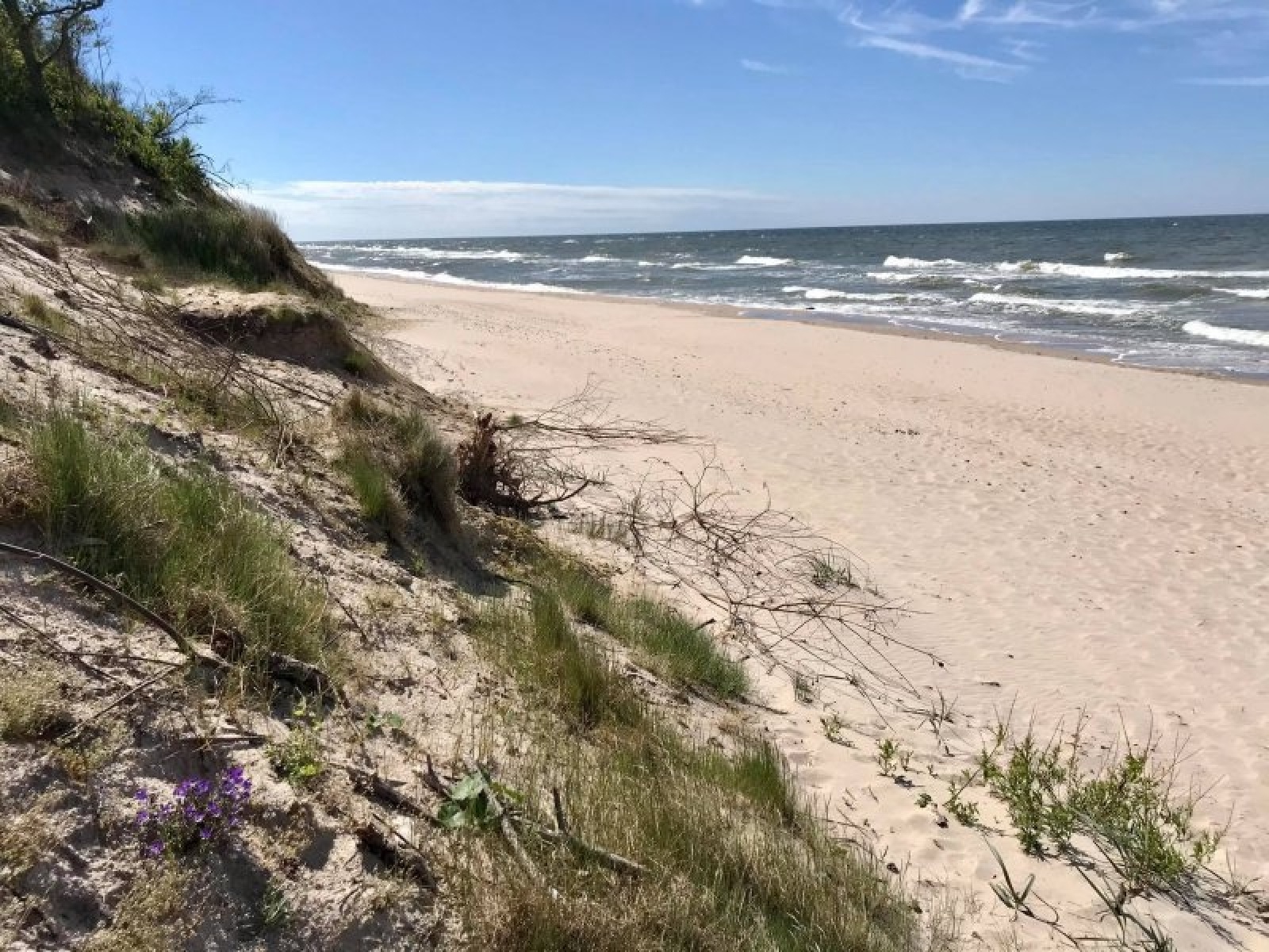Zdjęcie w galerii na portalu naszraciborz.pl: Pleśna gotowa na przyjęcie raciborskich turystów [FOTO] wiadomości z regionu