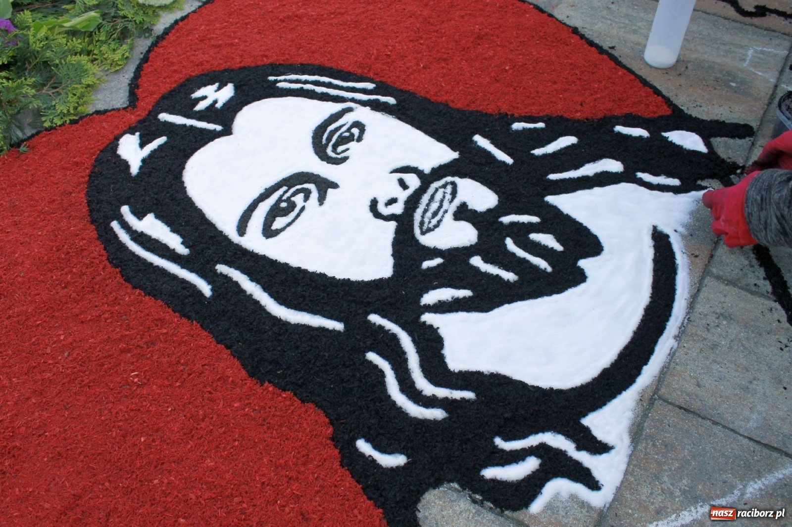 Zdjęcie w galerii na portalu naszraciborz.pl: Boże Ciało. W Brzeziu n. Odrą powstały dzieła sztuki [FOTO] wiadomości z regionu