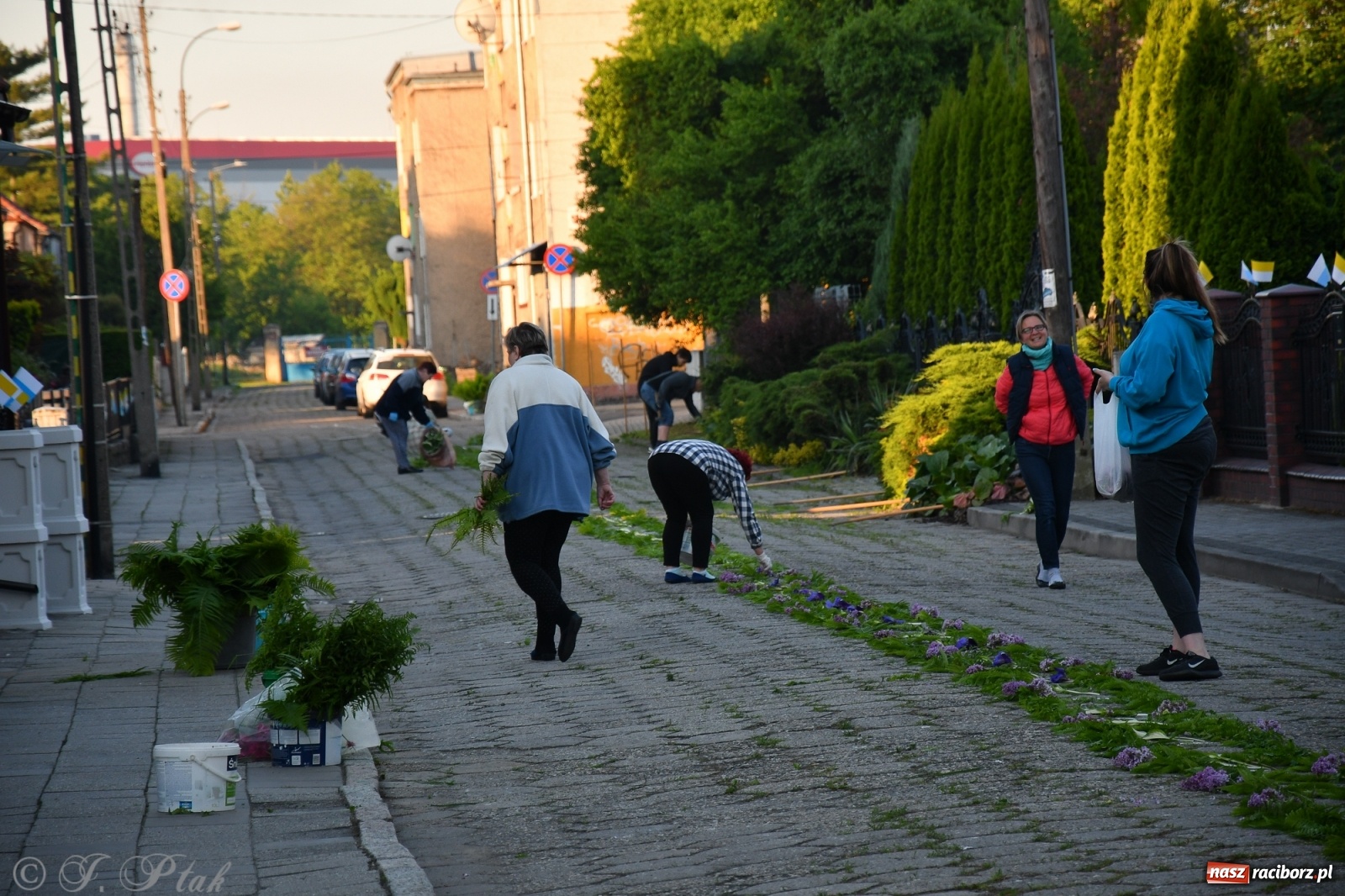 Zdjęcie w galerii na portalu naszraciborz.pl: W Sercu i Matce Bożej strojenie na Boże Ciało połączyło pokolenia wiadomości z regionu