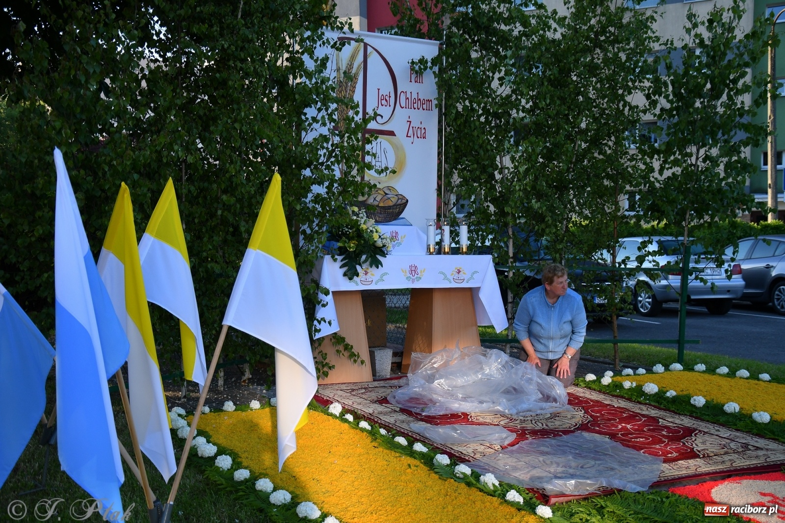 Zdjęcie w galerii na portalu naszraciborz.pl: W Sercu i Matce Bożej strojenie na Boże Ciało połączyło pokolenia wiadomości z regionu
