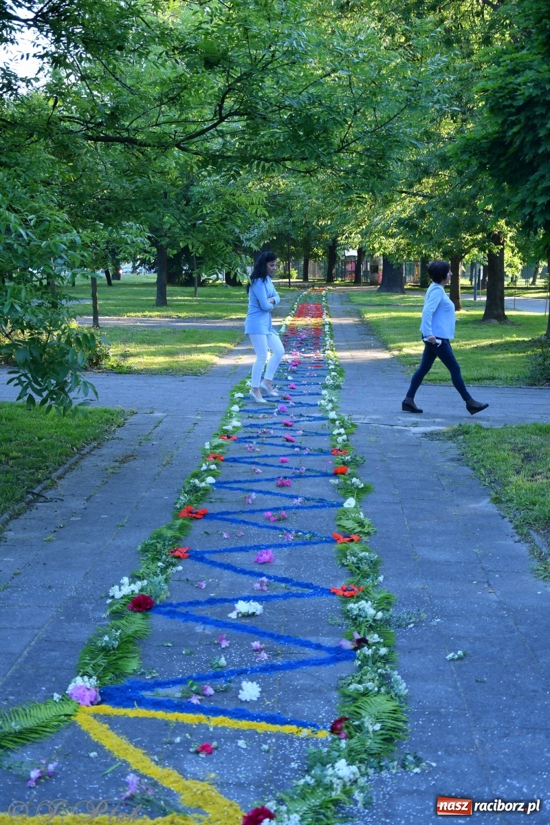Zdjęcie w galerii na portalu naszraciborz.pl: W Sercu i Matce Bożej strojenie na Boże Ciało połączyło pokolenia wiadomości z regionu