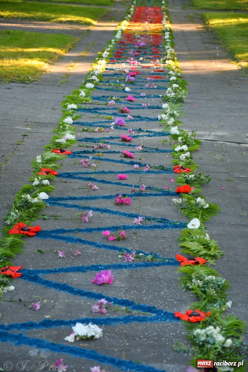 Zdjęcie w galerii na portalu naszraciborz.pl: W Sercu i Matce Bożej strojenie na Boże Ciało połączyło pokolenia wiadomości z regionu