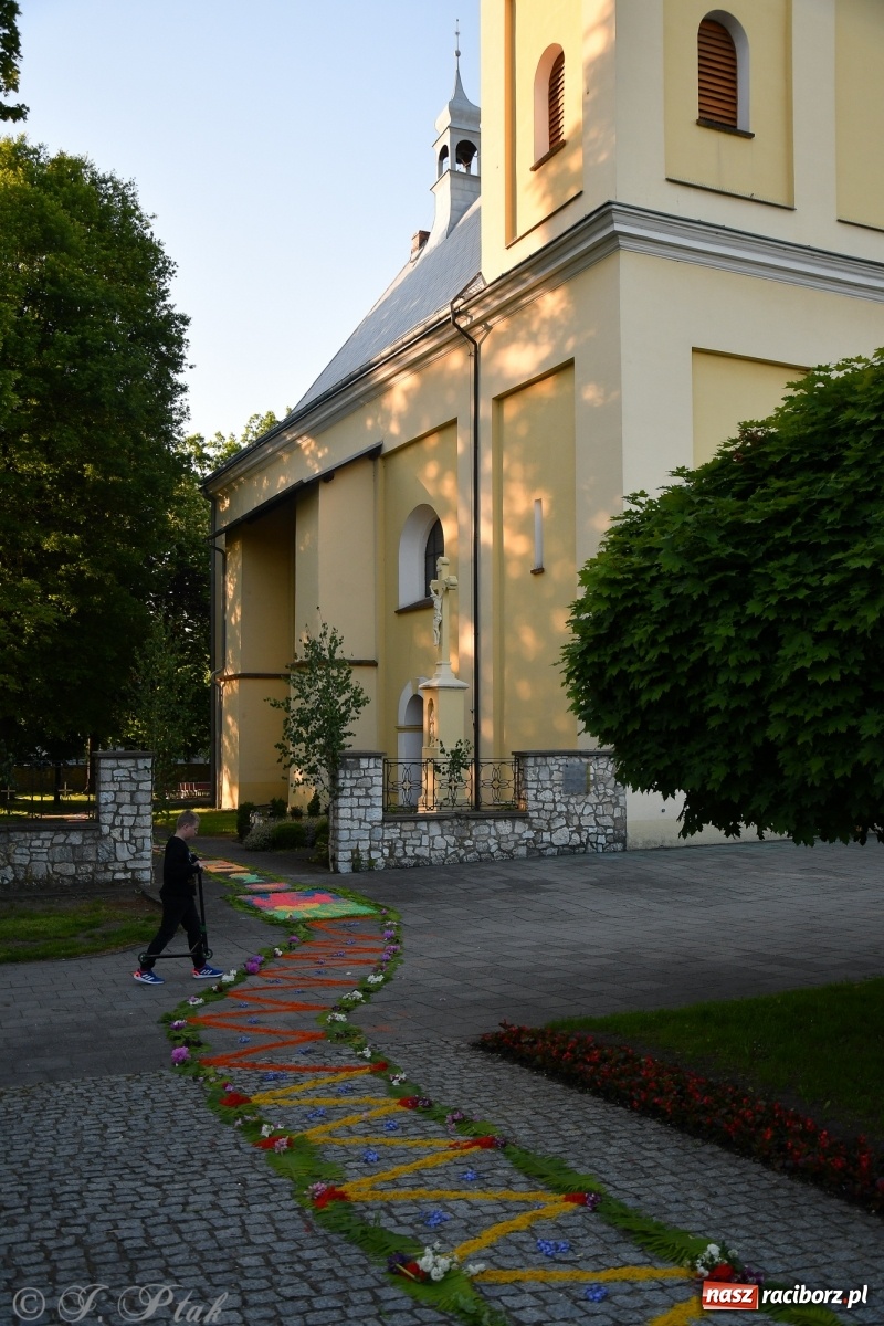 Zdjęcie w galerii na portalu naszraciborz.pl: W Sercu i Matce Bożej strojenie na Boże Ciało połączyło pokolenia wiadomości z regionu
