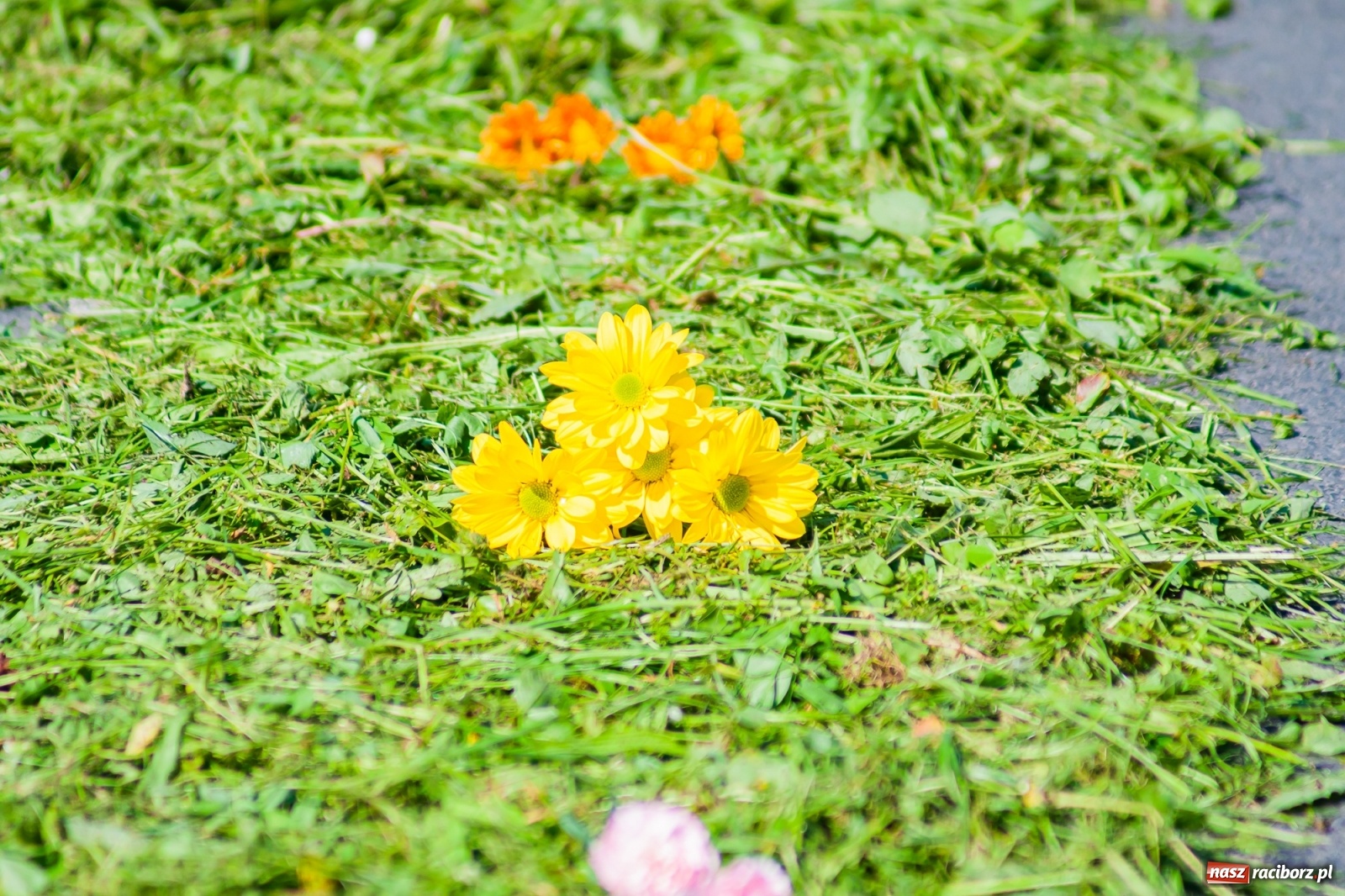 Zdjęcie w galerii na portalu naszraciborz.pl: Raciborskie procesje Bożego Ciała 2021 wiadomości z regionu