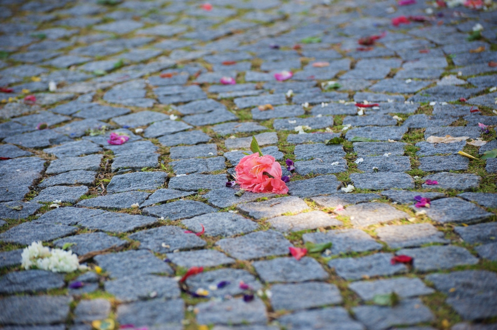 Zdjęcie w galerii na portalu naszraciborz.pl: Procesja Bożego Ciała w Tworkowie wiadomości z regionu