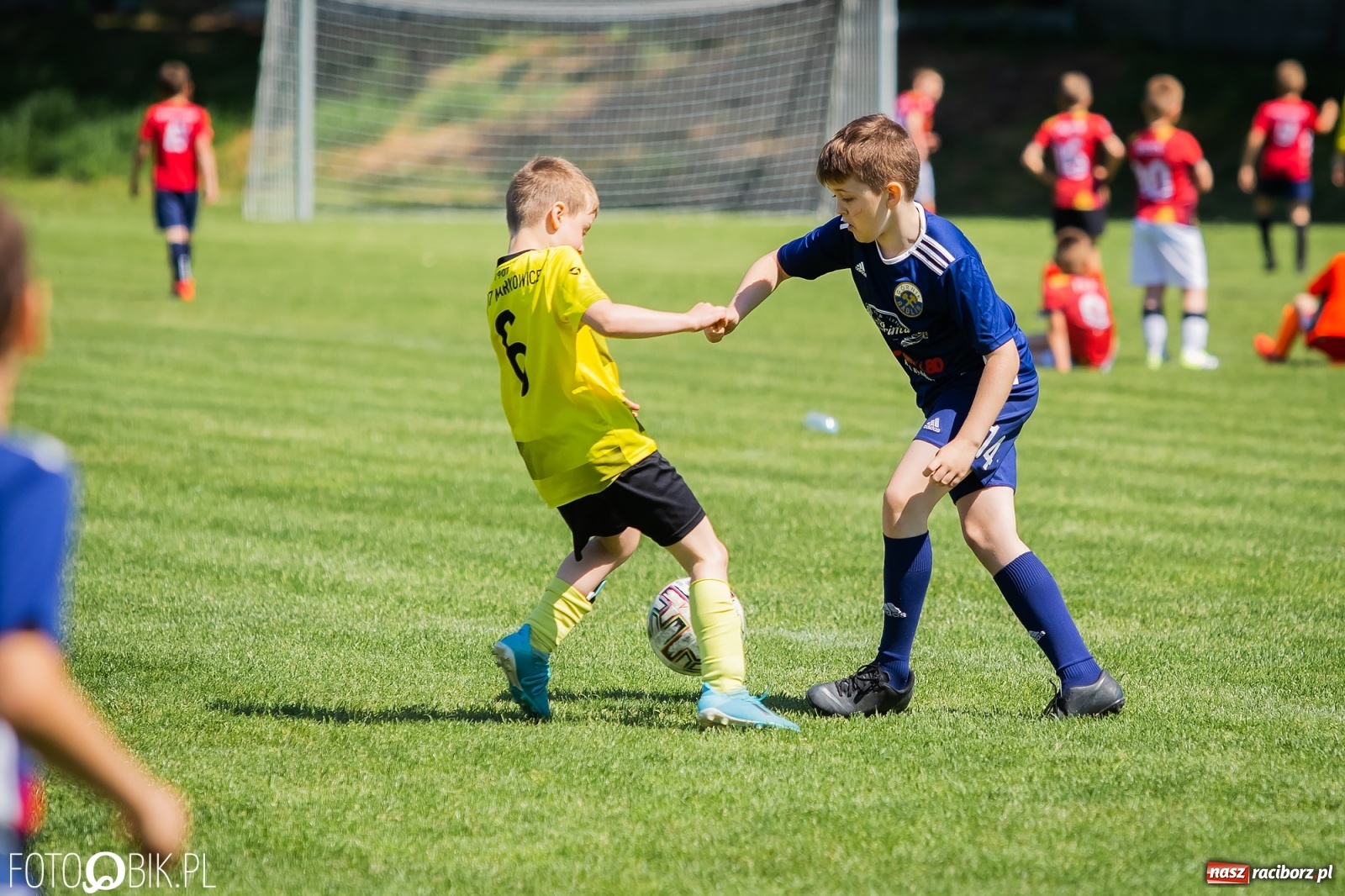 Zdjęcie w galerii na portalu naszraciborz.pl: Dwudniowe zmagania w ramach Orlik Cup w Nędzy [FOTO i WIDEO] wiadomości z regionu