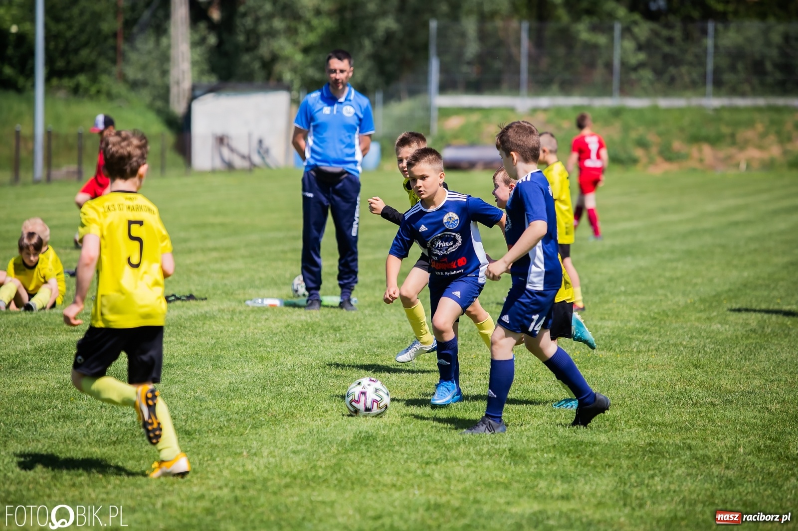 Zdjęcie w galerii na portalu naszraciborz.pl: Dwudniowe zmagania w ramach Orlik Cup w Nędzy [FOTO i WIDEO] wiadomości z regionu