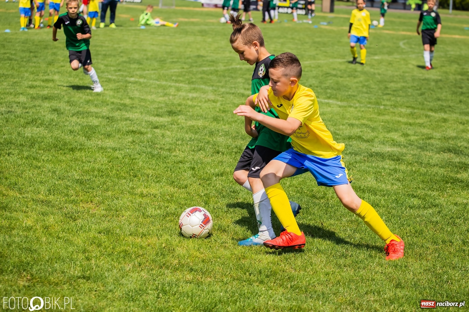 Zdjęcie w galerii na portalu naszraciborz.pl: Rozpoczęła się ósma edycja Tworków Cup. Rywalizował rocznik 2012 [FOTO] wiadomości z regionu