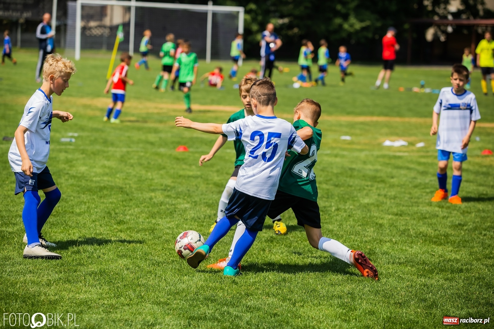 Zdjęcie w galerii na portalu naszraciborz.pl: Rozpoczęła się ósma edycja Tworków Cup. Rywalizował rocznik 2012 [FOTO] wiadomości z regionu