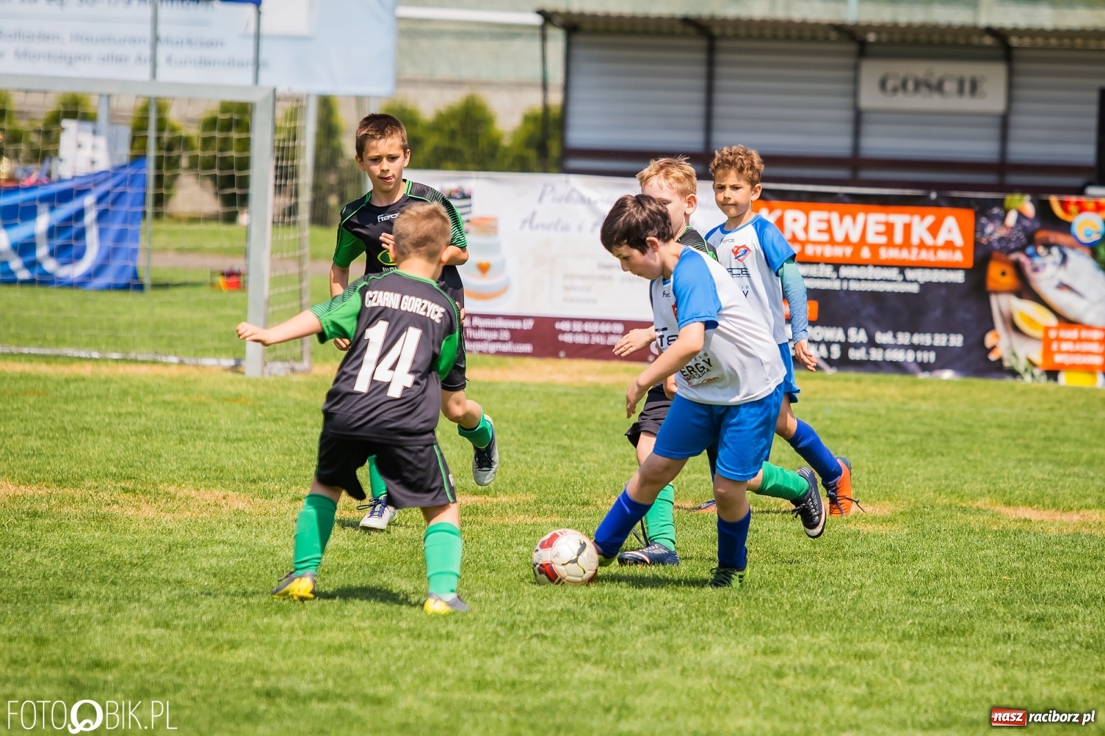 Zdjęcie w galerii na portalu naszraciborz.pl: Rozpoczęła się ósma edycja Tworków Cup. Rywalizował rocznik 2012 [FOTO] wiadomości z regionu