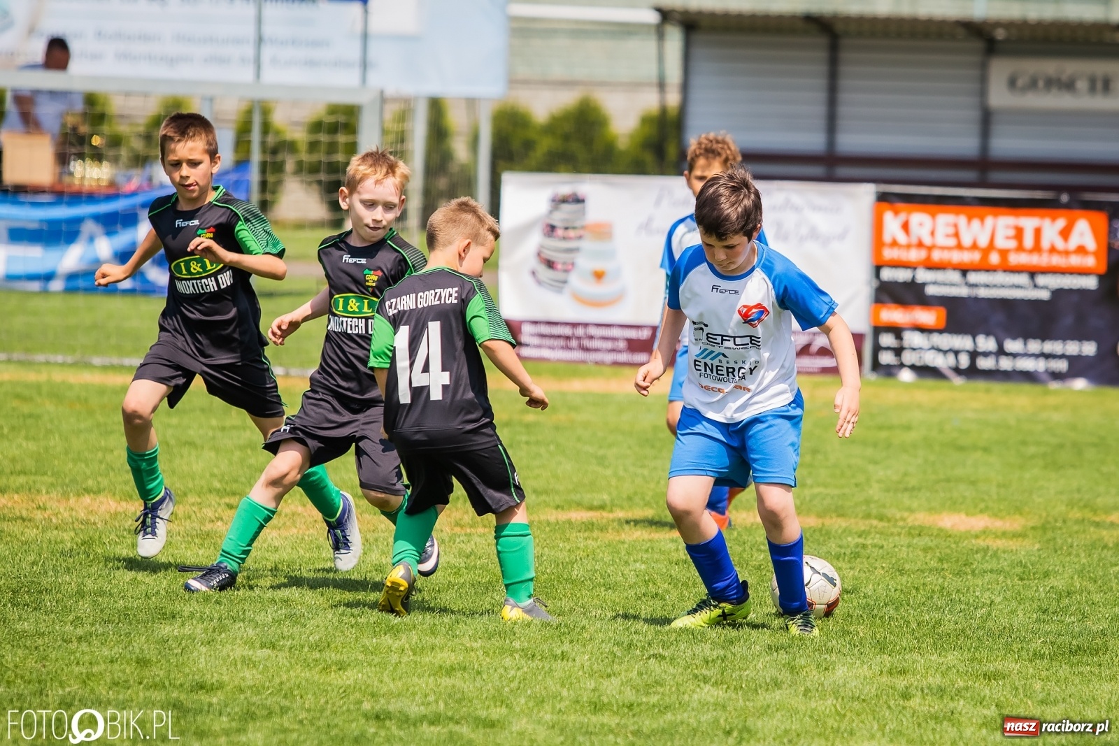Zdjęcie w galerii na portalu naszraciborz.pl: Rozpoczęła się ósma edycja Tworków Cup. Rywalizował rocznik 2012 [FOTO] wiadomości z regionu