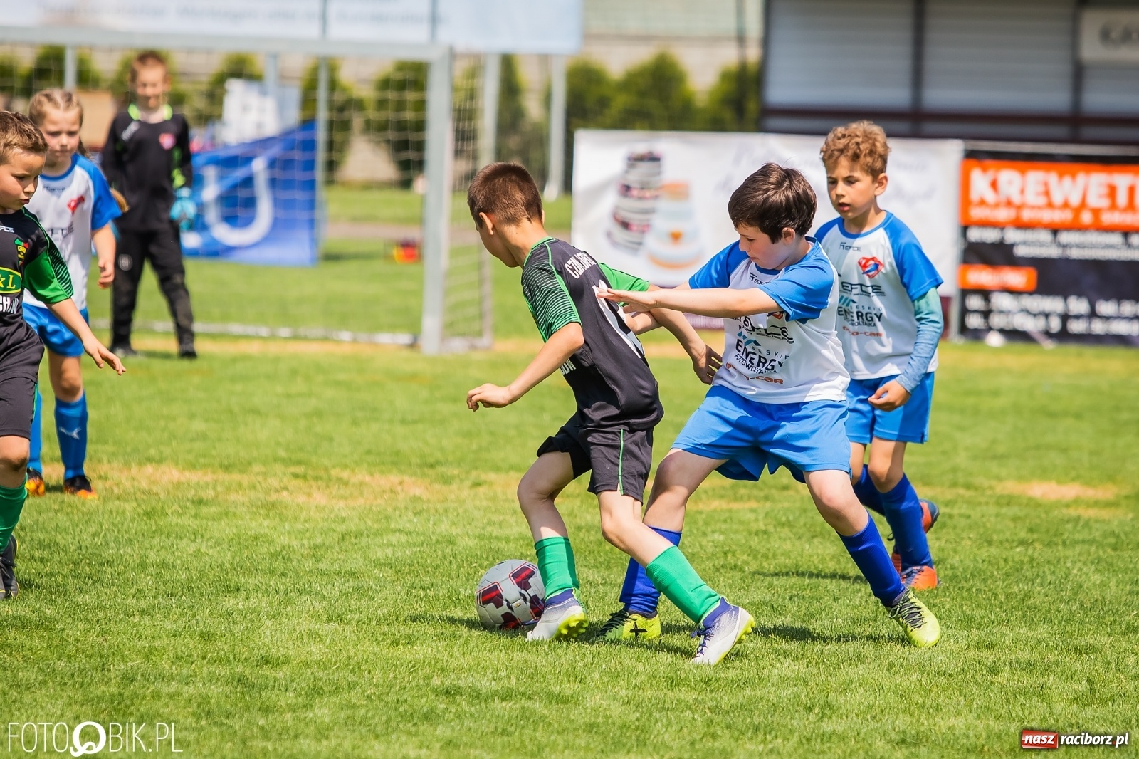 Zdjęcie w galerii na portalu naszraciborz.pl: Rozpoczęła się ósma edycja Tworków Cup. Rywalizował rocznik 2012 [FOTO] wiadomości z regionu