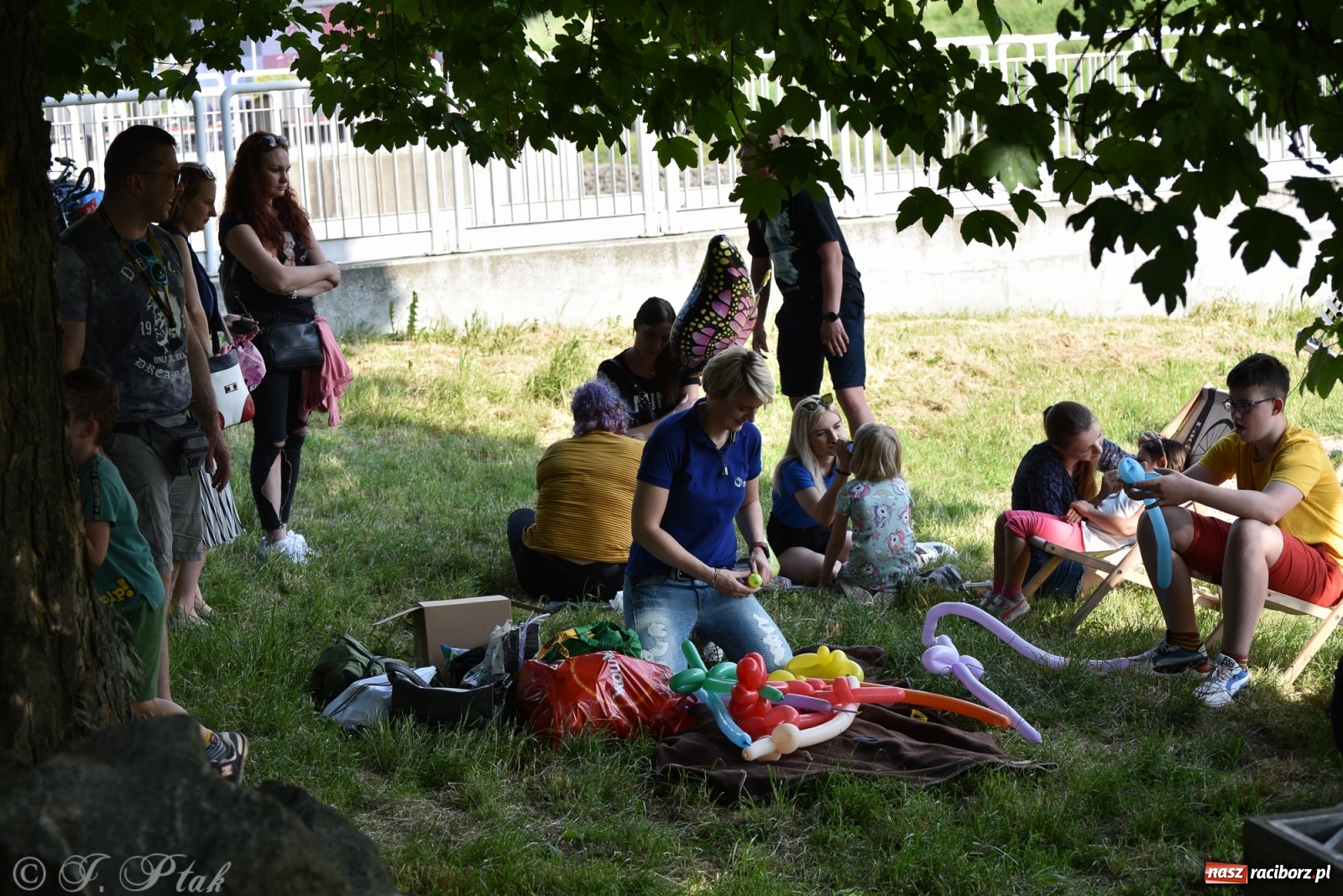 Zdjęcie w galerii na portalu naszraciborz.pl: Familijny finał Ty-Godnia Dziecka w Raciborzu [FOTO i WIDEO] wiadomości z regionu