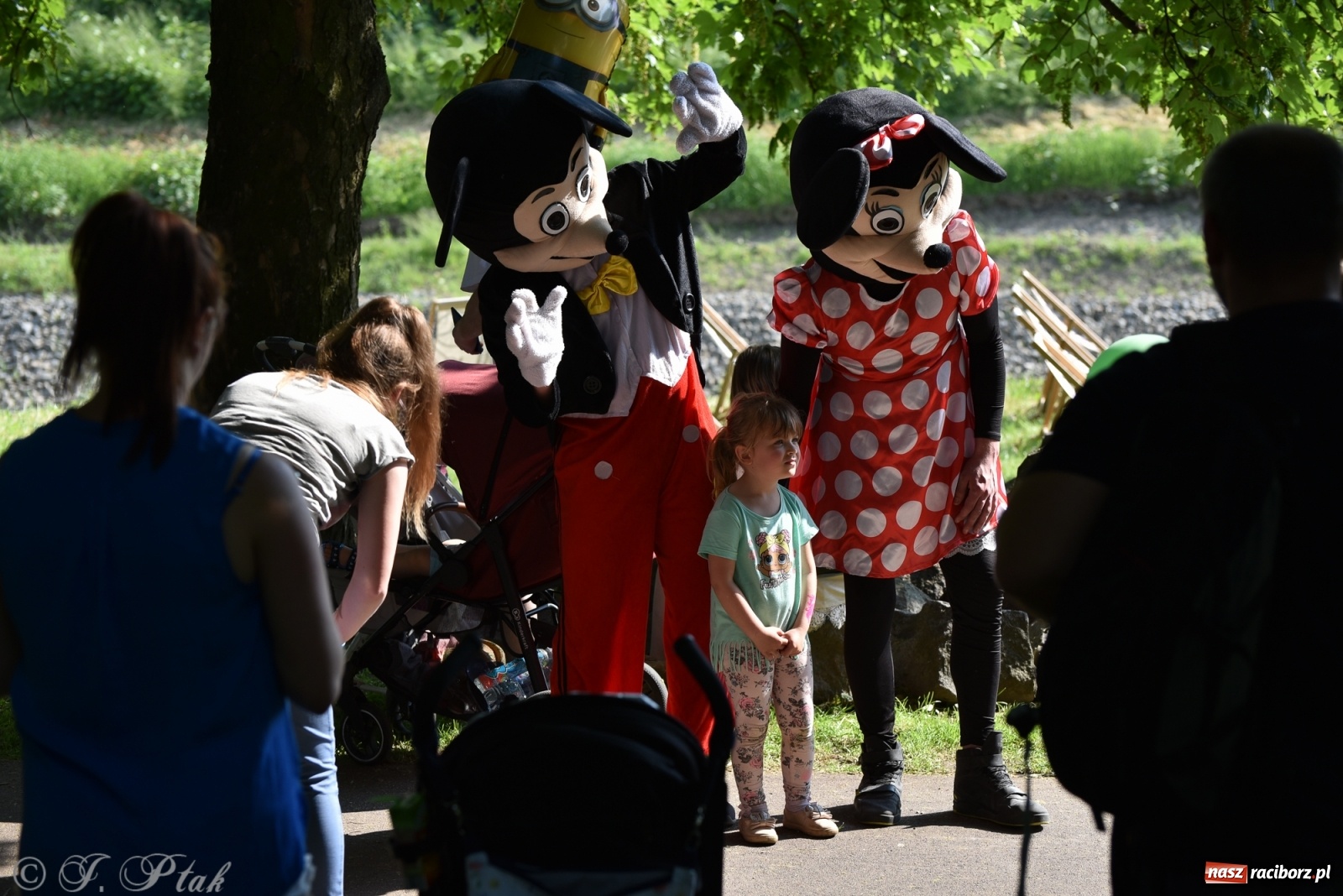Zdjęcie w galerii na portalu naszraciborz.pl: Familijny finał Ty-Godnia Dziecka w Raciborzu [FOTO i WIDEO] wiadomości z regionu