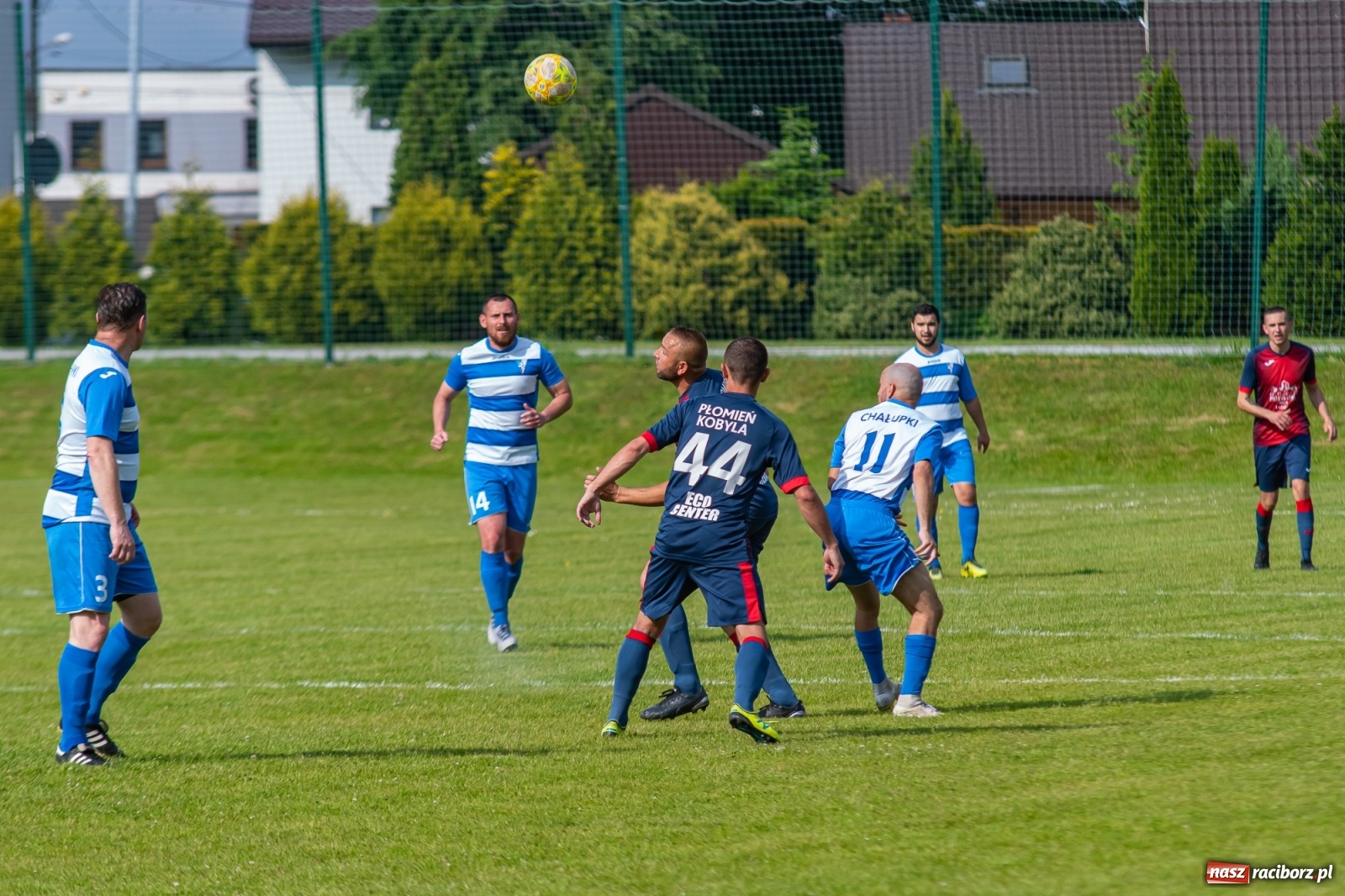 Zdjęcie w galerii na portalu naszraciborz.pl: Kobylski Płomień zgaszony! Chałupki odbiły się od dna [FOTO] wiadomości z regionu
