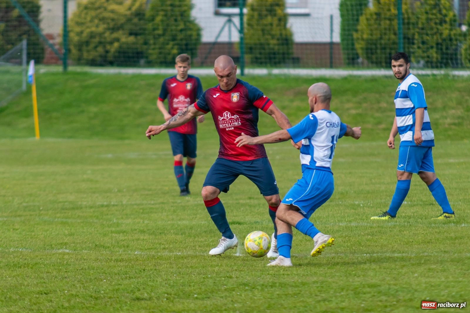 Zdjęcie w galerii na portalu naszraciborz.pl: Kobylski Płomień zgaszony! Chałupki odbiły się od dna [FOTO] wiadomości z regionu