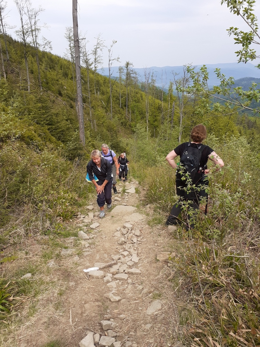 Zdjęcie w galerii na portalu naszraciborz.pl: Raciborzanie na szlakach Beskidu Żywieckiego wiadomości z regionu