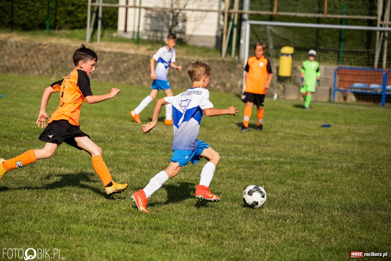 Zdjęcie w galerii na portalu naszraciborz.pl: Puchar, medale i szampan. LKS 07 Markowice mistrzem ligi orlików [FOTO] wiadomości z regionu