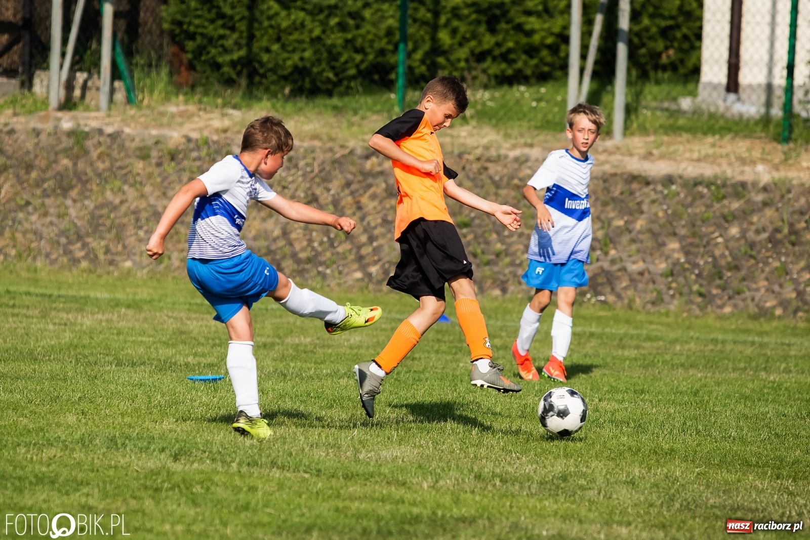 Zdjęcie w galerii na portalu naszraciborz.pl: Puchar, medale i szampan. LKS 07 Markowice mistrzem ligi orlików [FOTO] wiadomości z regionu