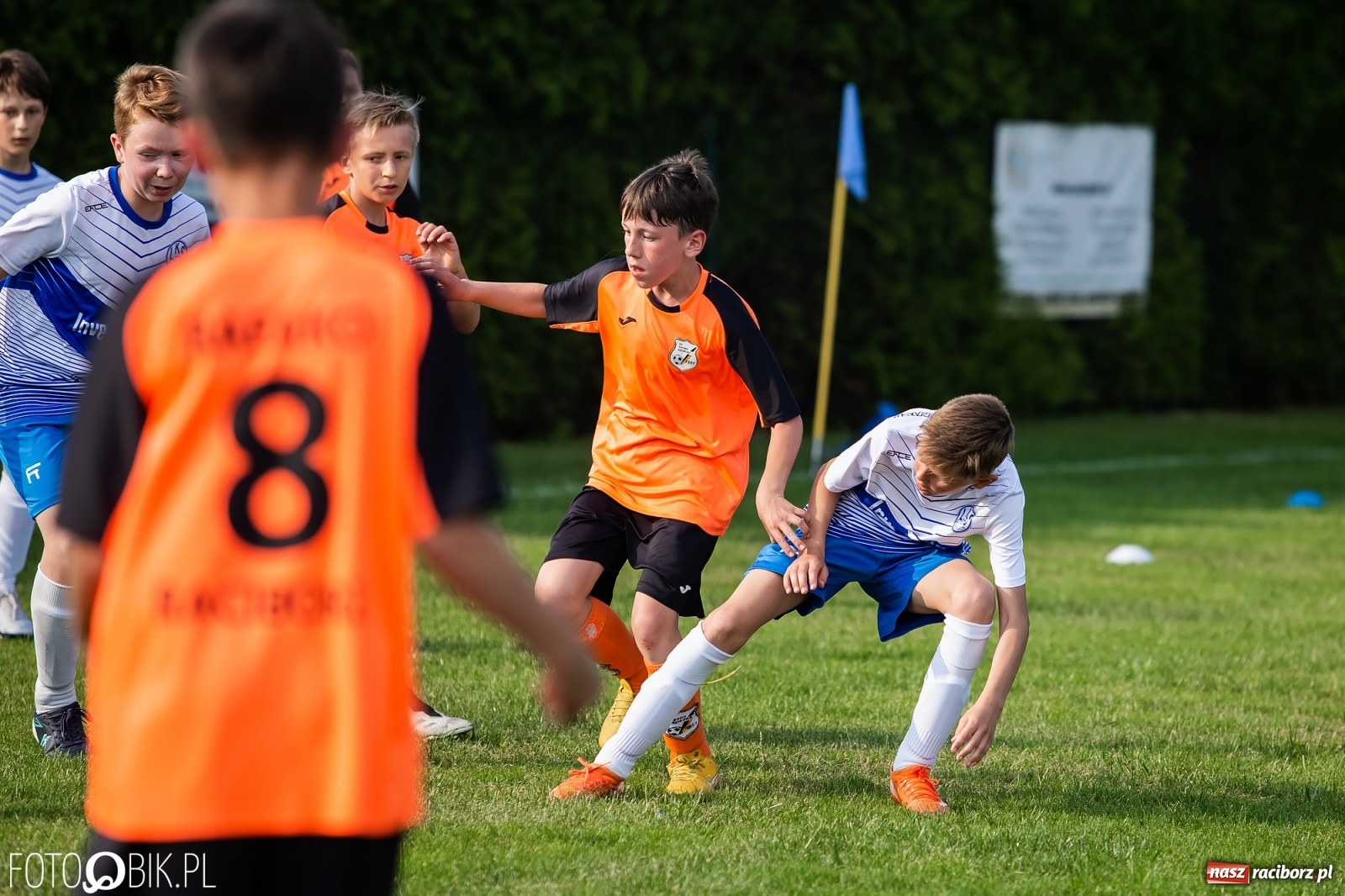 Zdjęcie w galerii na portalu naszraciborz.pl: Puchar, medale i szampan. LKS 07 Markowice mistrzem ligi orlików [FOTO] wiadomości z regionu