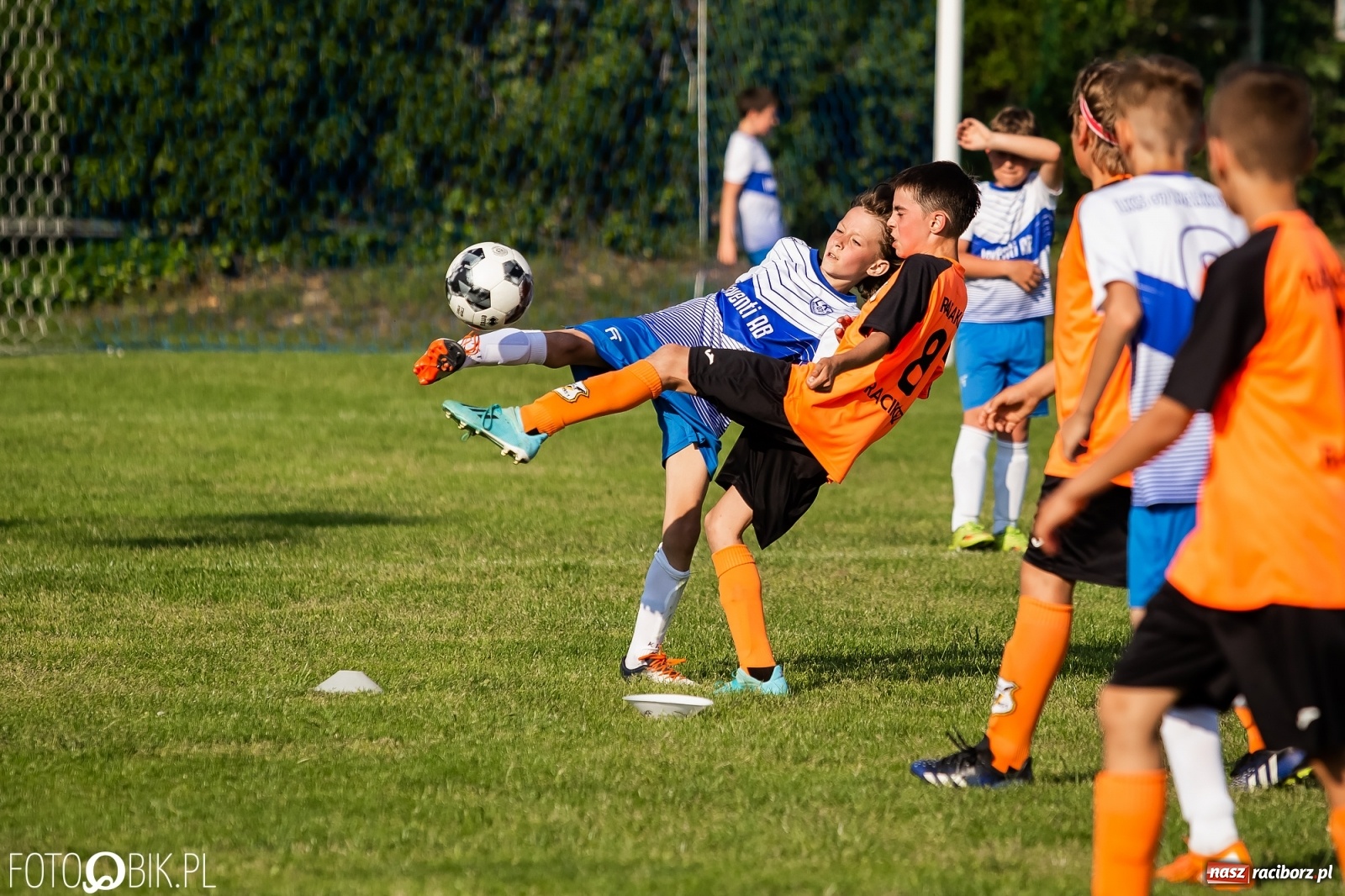 Zdjęcie w galerii na portalu naszraciborz.pl: Puchar, medale i szampan. LKS 07 Markowice mistrzem ligi orlików [FOTO] wiadomości z regionu