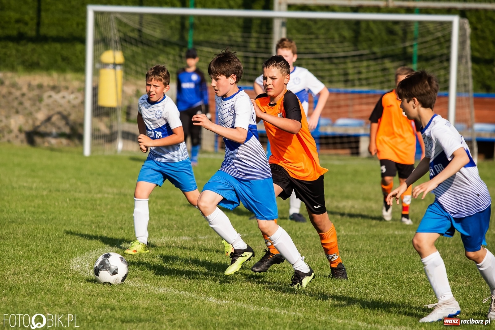 Zdjęcie w galerii na portalu naszraciborz.pl: Puchar, medale i szampan. LKS 07 Markowice mistrzem ligi orlików [FOTO] wiadomości z regionu
