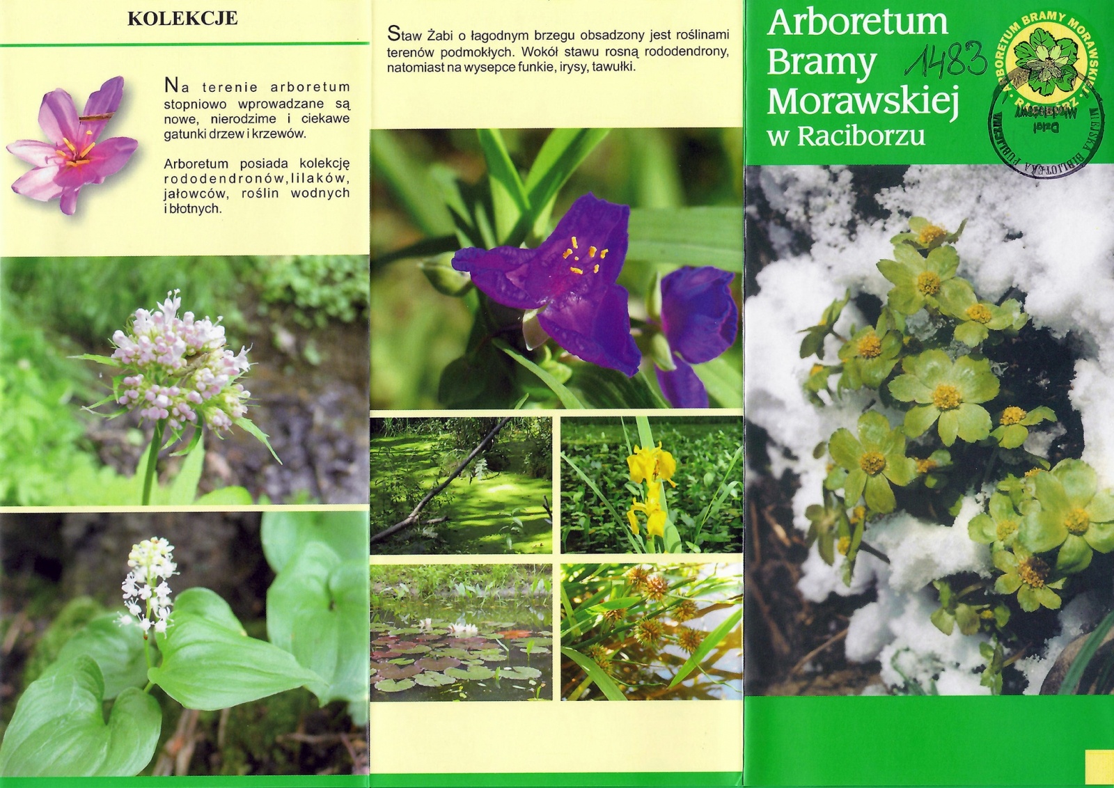 Zdjęcie w galerii na portalu naszraciborz.pl: Z bibliotecznego archiwum. Arboretum Bramy Morawskiej w Raciborzu wiadomości z regionu