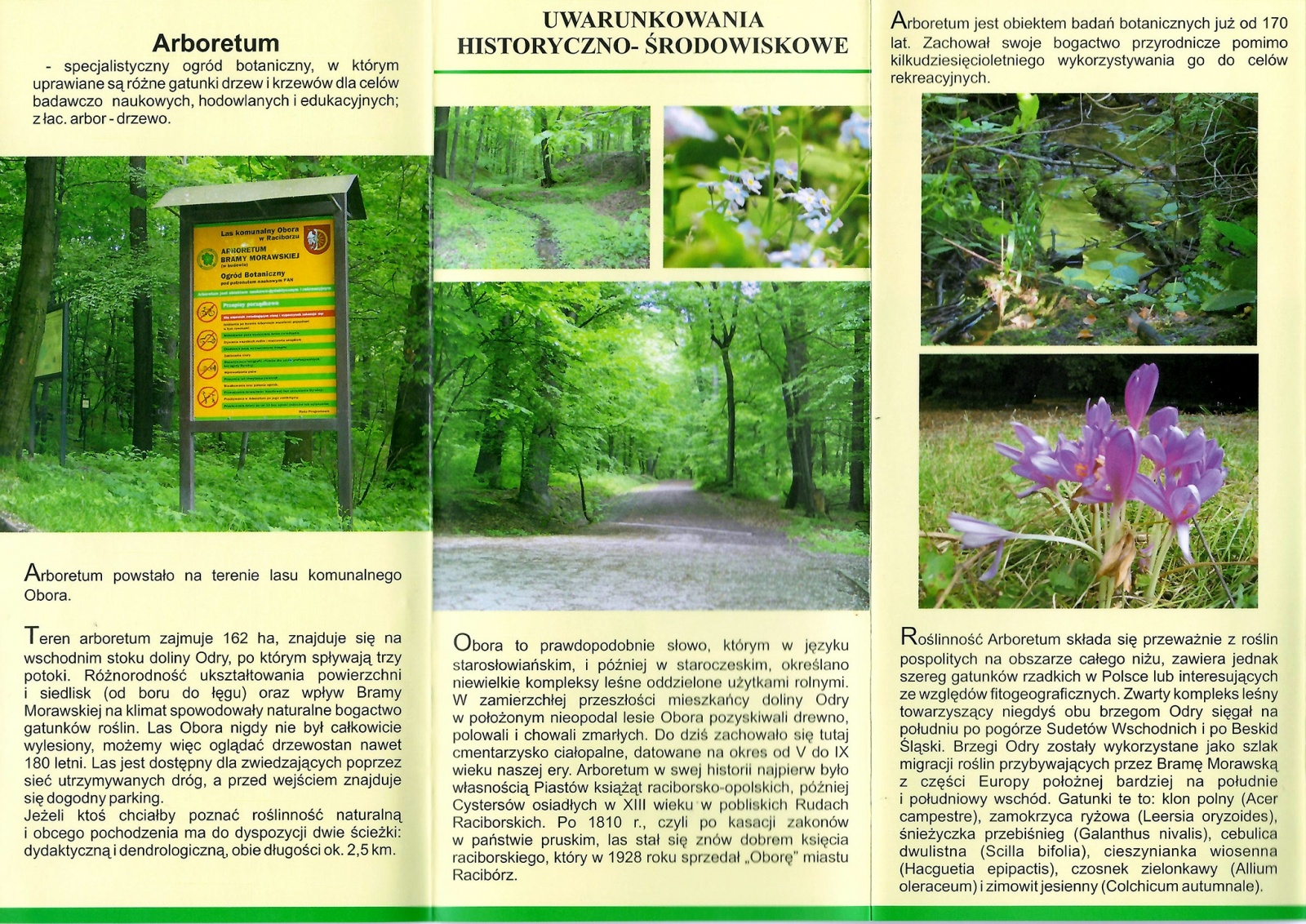 Zdjęcie w galerii na portalu naszraciborz.pl: Z bibliotecznego archiwum. Arboretum Bramy Morawskiej w Raciborzu wiadomości z regionu