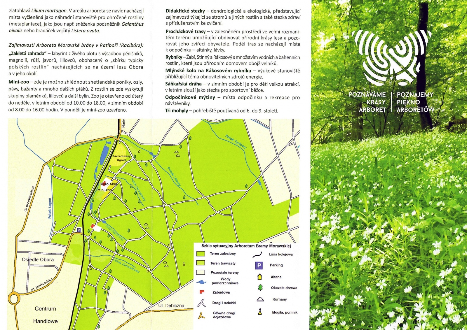 Zdjęcie w galerii na portalu naszraciborz.pl: Z bibliotecznego archiwum. Arboretum Bramy Morawskiej w Raciborzu wiadomości z regionu
