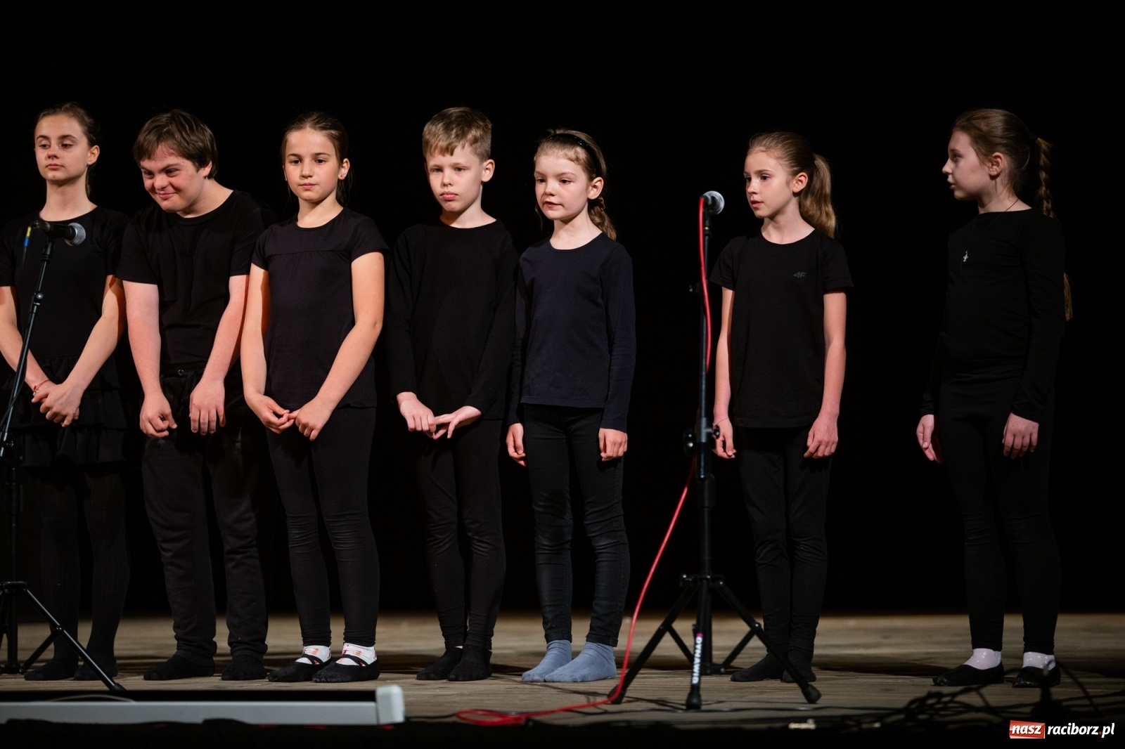 Zdjęcie w galerii na portalu naszraciborz.pl: Czwarta Ściana II na deskach sceny DK Strzecha wiadomości z regionu