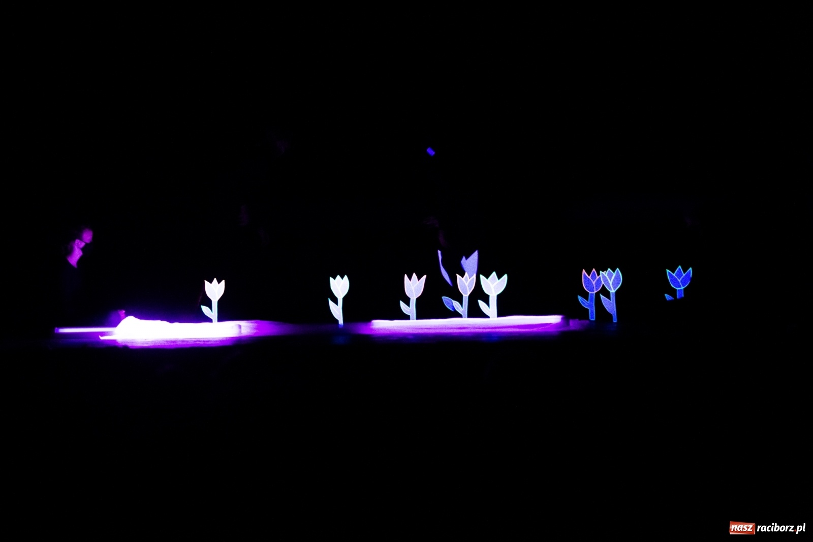 Zdjęcie w galerii na portalu naszraciborz.pl: Czwarta Ściana II na deskach sceny DK Strzecha wiadomości z regionu