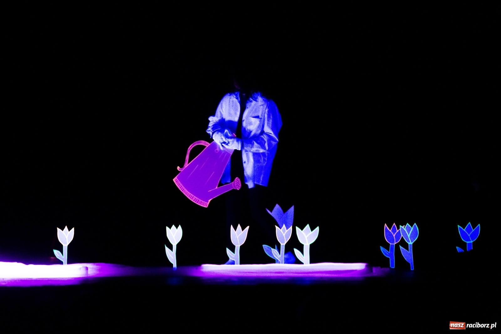 Zdjęcie w galerii na portalu naszraciborz.pl: Czwarta Ściana II na deskach sceny DK Strzecha wiadomości z regionu