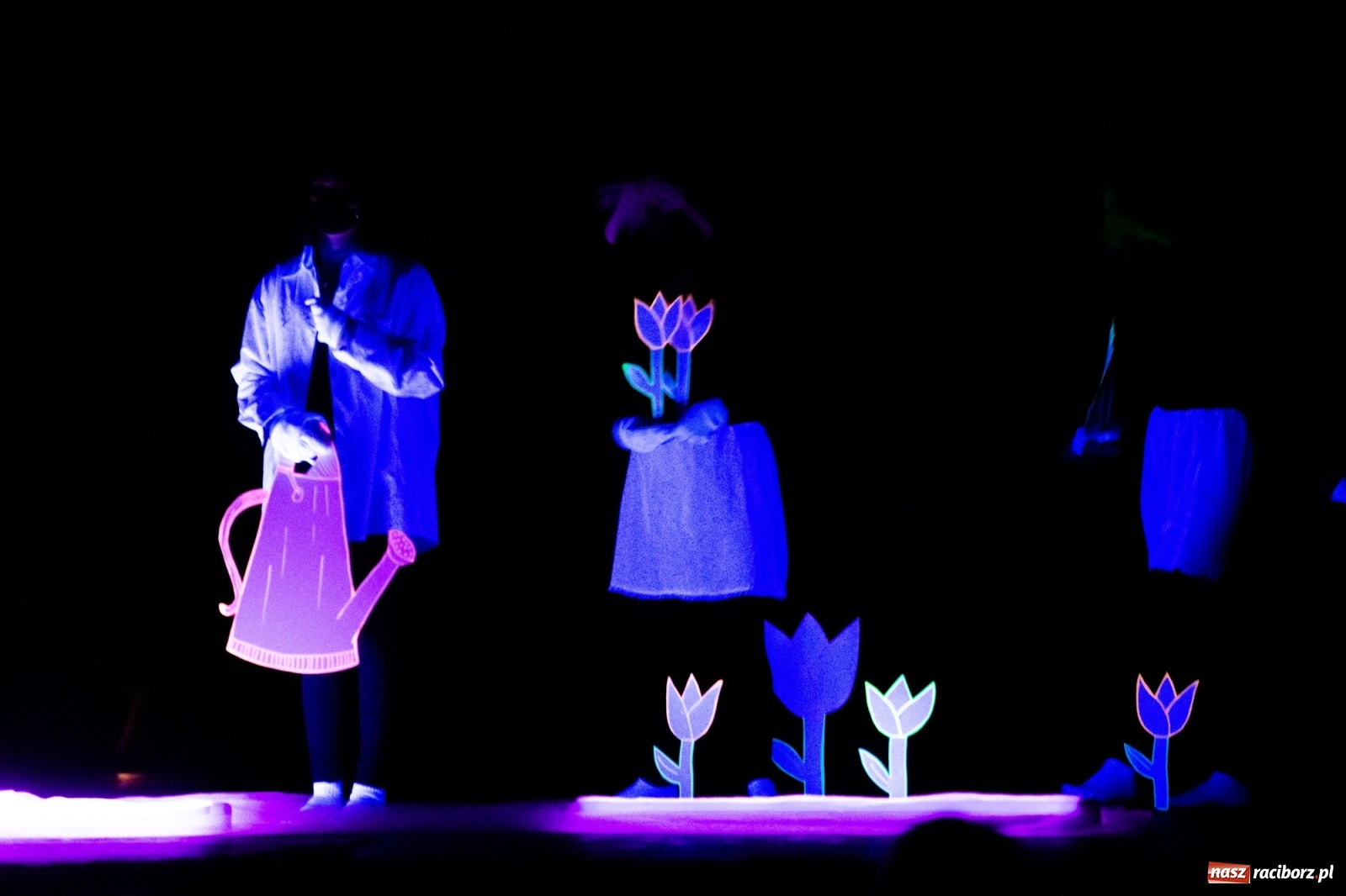 Zdjęcie w galerii na portalu naszraciborz.pl: Czwarta Ściana II na deskach sceny DK Strzecha wiadomości z regionu