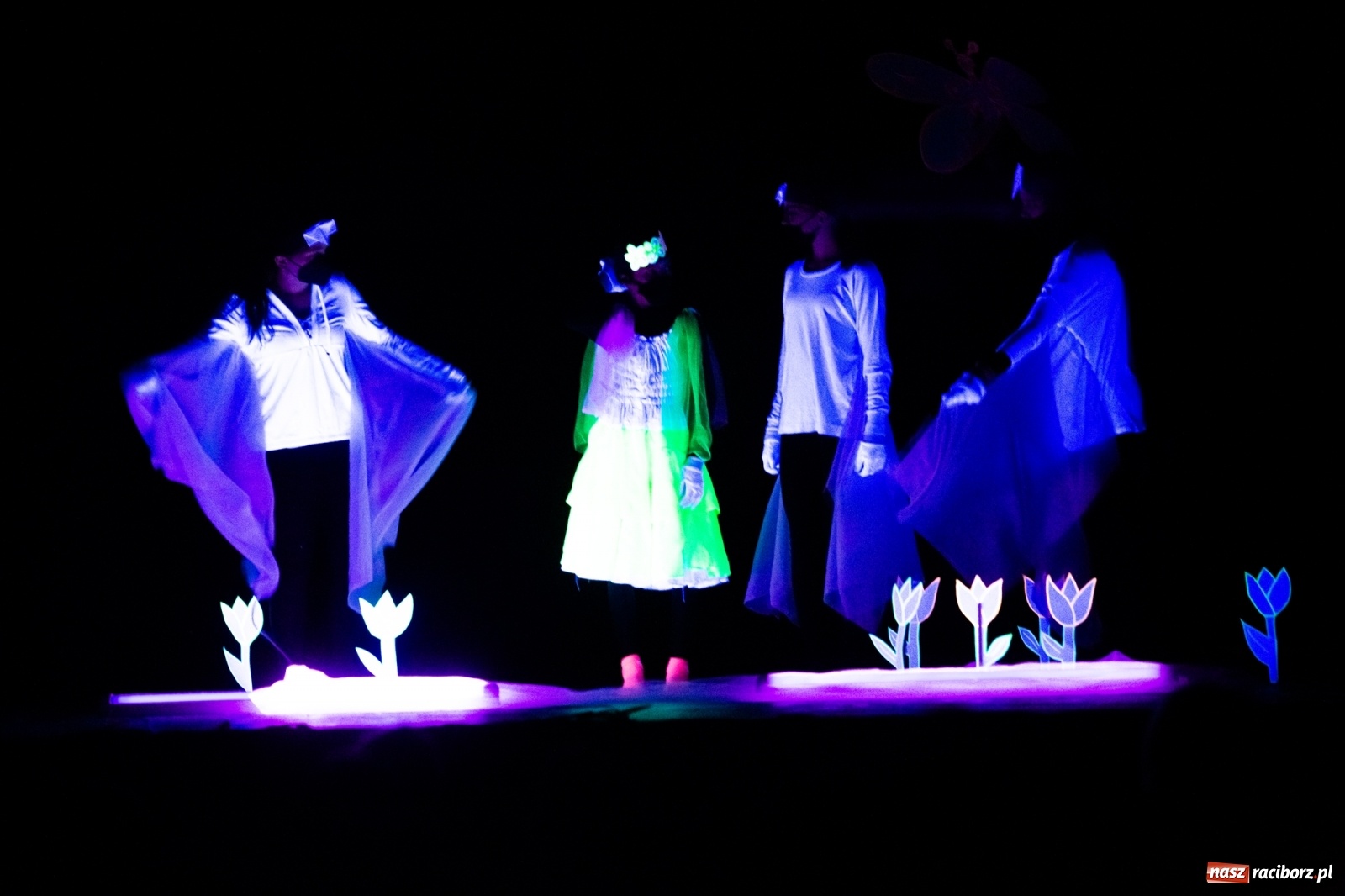 Zdjęcie w galerii na portalu naszraciborz.pl: Czwarta Ściana II na deskach sceny DK Strzecha wiadomości z regionu