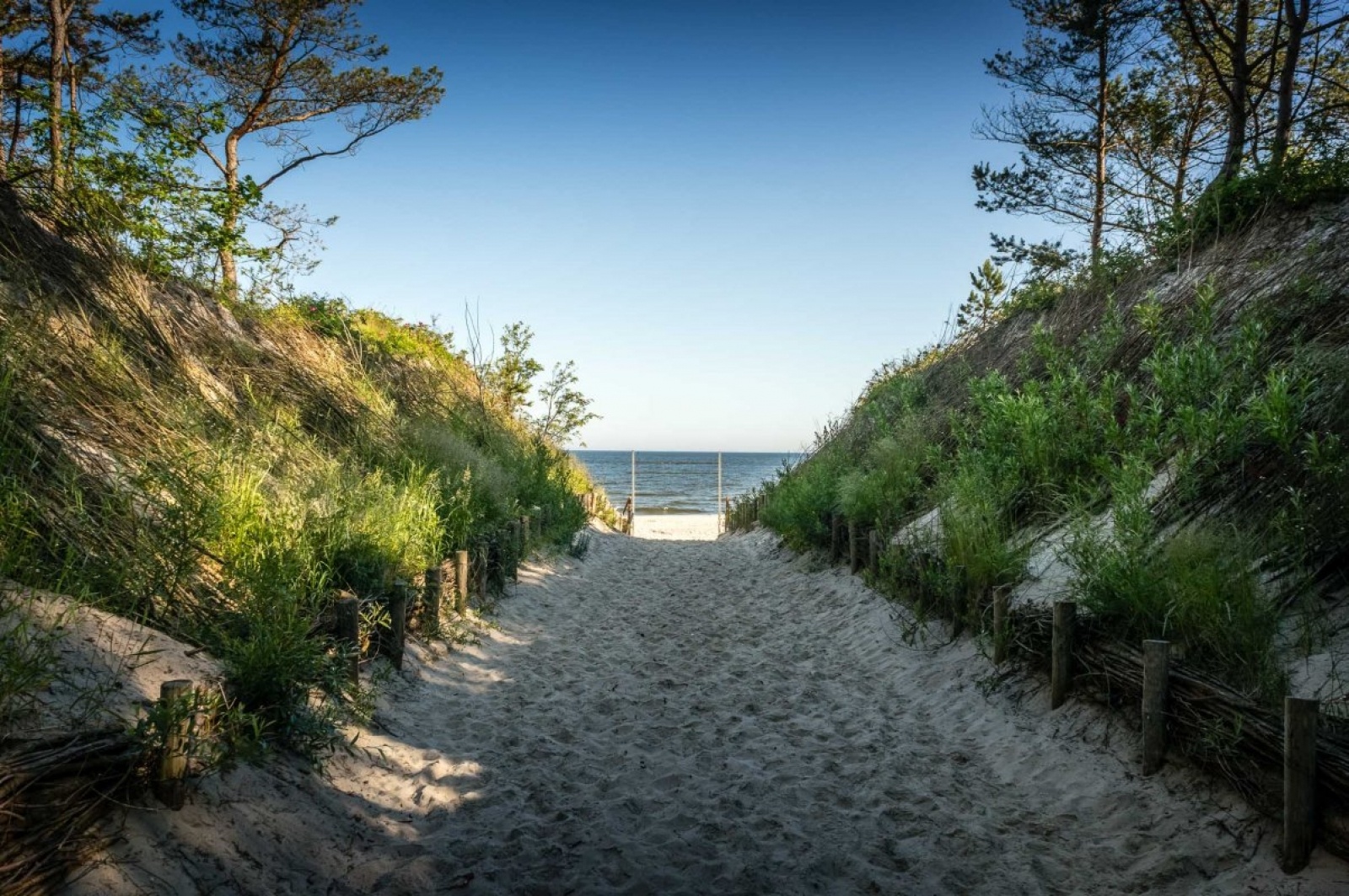 Zdjęcie w galerii na portalu naszraciborz.pl: Orinoko rozszerza ofertę o Bałtyk. Zaprasza na wczasy do Krynicy Morskiej! wiadomości z regionu