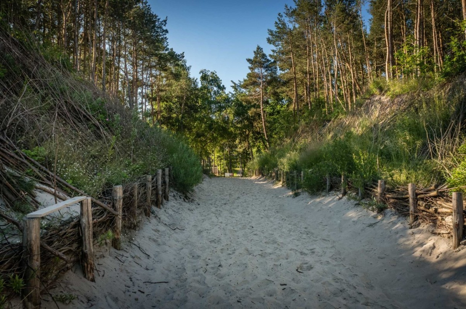 Zdjęcie w galerii na portalu naszraciborz.pl: Orinoko rozszerza ofertę o Bałtyk. Zaprasza na wczasy do Krynicy Morskiej! wiadomości z regionu