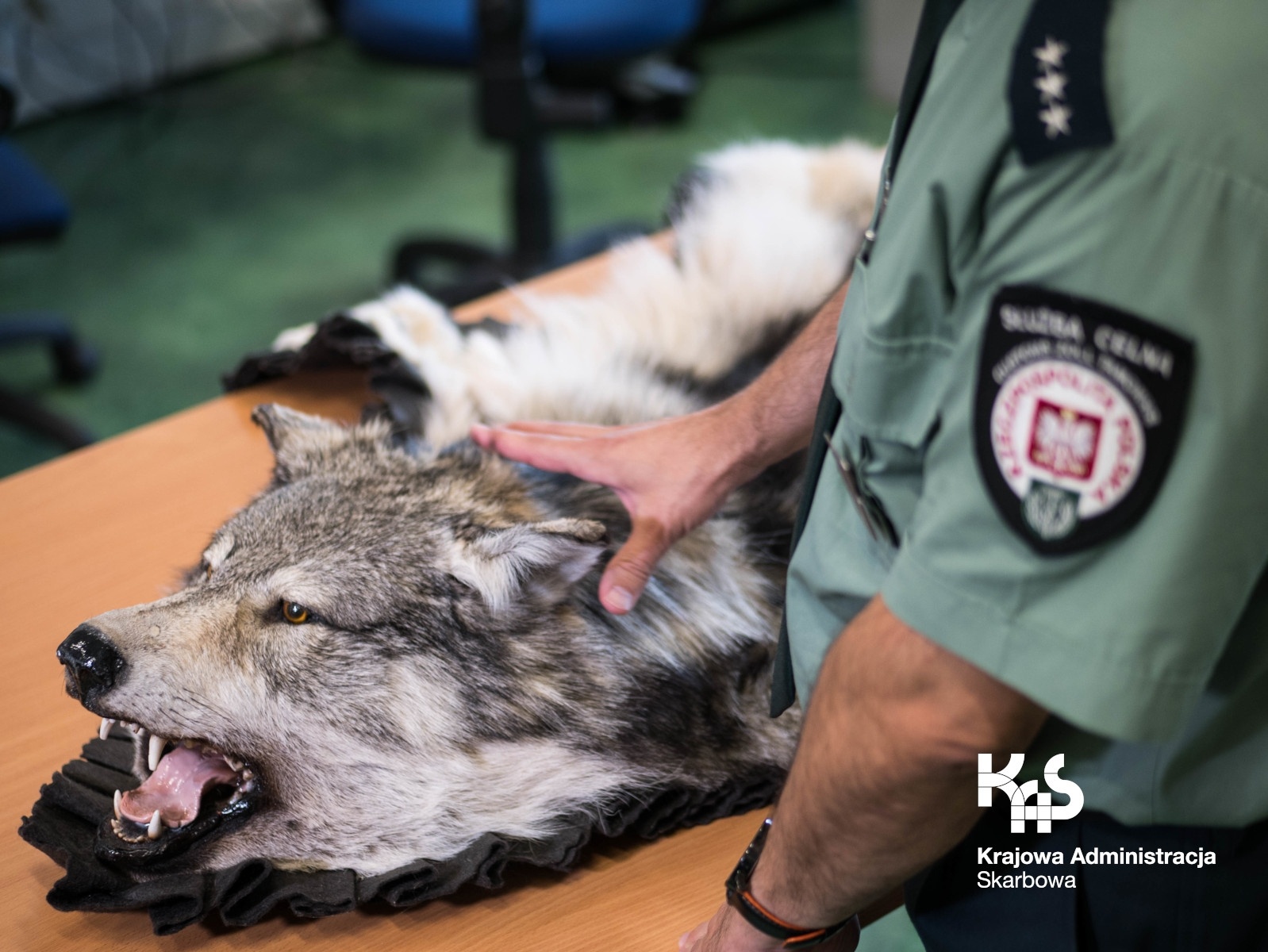 Zdjęcie w galerii na portalu naszraciborz.pl: Śląska KAS chce przyjąć 50 funkcjonariuszy. Sprawdź, ile płaci na start wiadomości z regionu