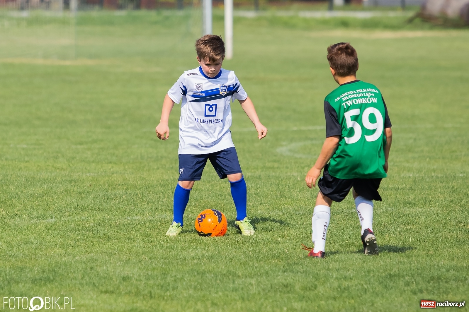 Zdjęcie w galerii na portalu naszraciborz.pl: Eliminacje do turnieju Silesia Cup w Studziennej [FOTO] wiadomości z regionu