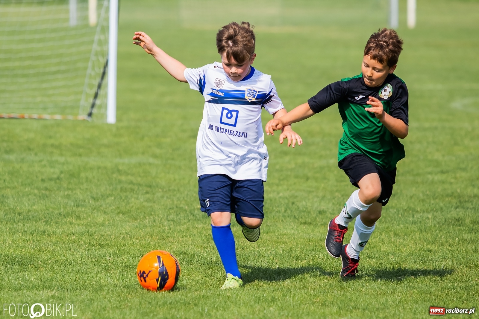 Zdjęcie w galerii na portalu naszraciborz.pl: Eliminacje do turnieju Silesia Cup w Studziennej [FOTO] wiadomości z regionu