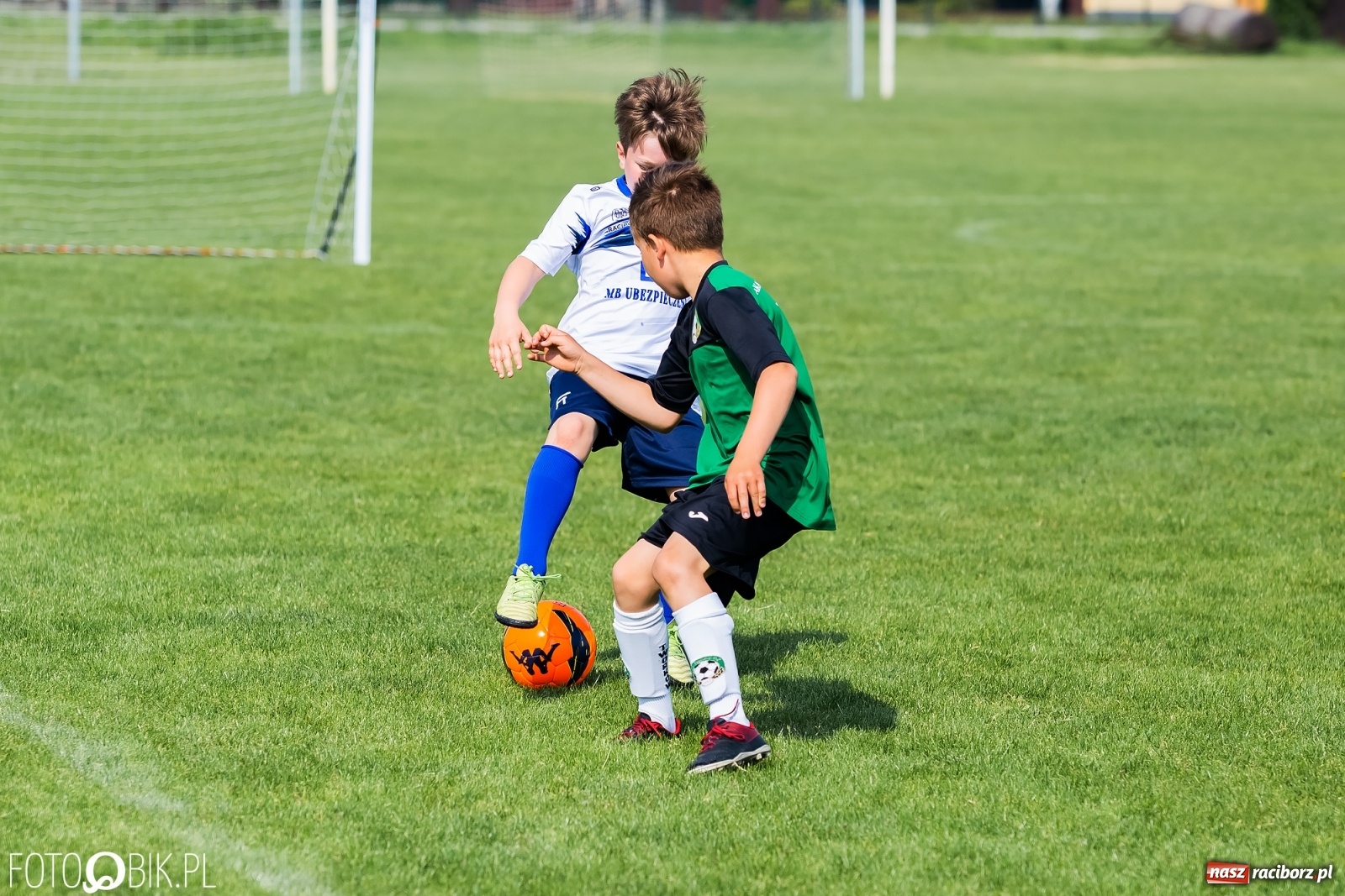 Zdjęcie w galerii na portalu naszraciborz.pl: Eliminacje do turnieju Silesia Cup w Studziennej [FOTO] wiadomości z regionu