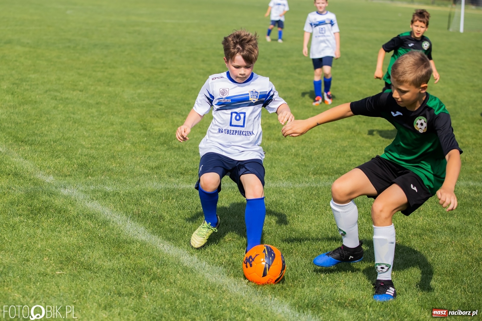 Zdjęcie w galerii na portalu naszraciborz.pl: Eliminacje do turnieju Silesia Cup w Studziennej [FOTO] wiadomości z regionu