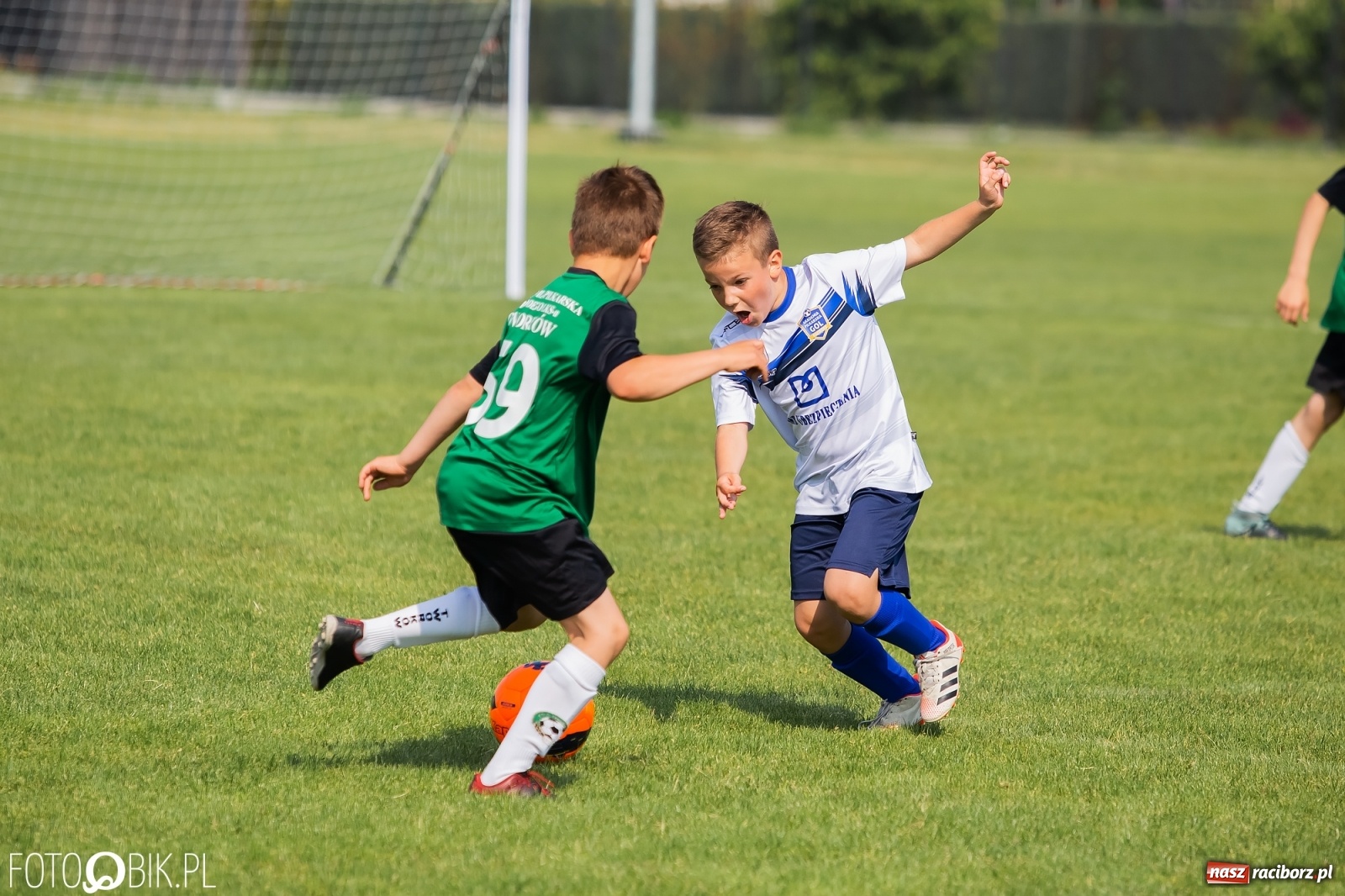 Zdjęcie w galerii na portalu naszraciborz.pl: Eliminacje do turnieju Silesia Cup w Studziennej [FOTO] wiadomości z regionu