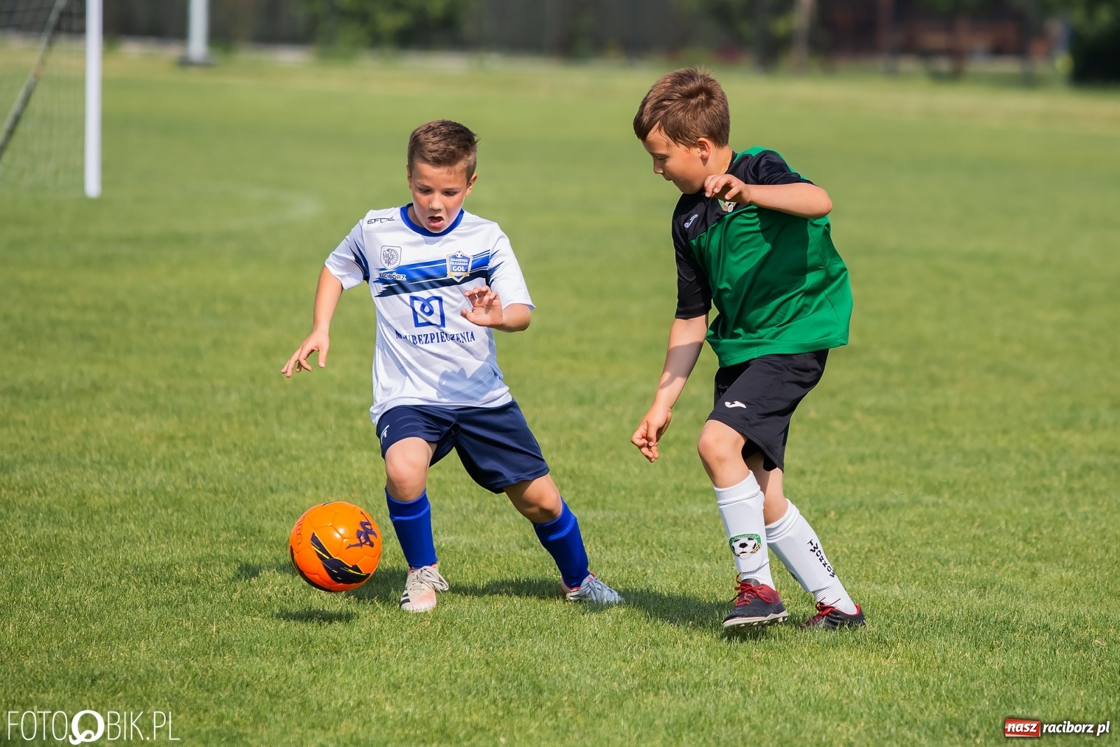 Zdjęcie w galerii na portalu naszraciborz.pl: Eliminacje do turnieju Silesia Cup w Studziennej [FOTO] wiadomości z regionu