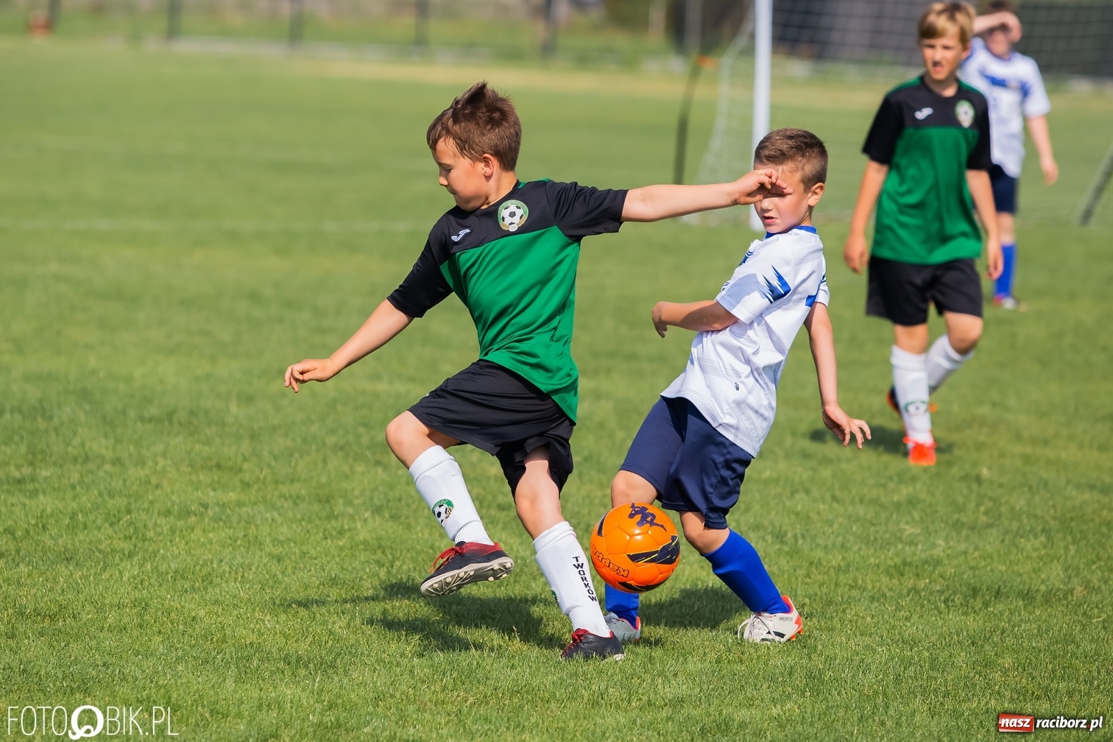Zdjęcie w galerii na portalu naszraciborz.pl: Eliminacje do turnieju Silesia Cup w Studziennej [FOTO] wiadomości z regionu