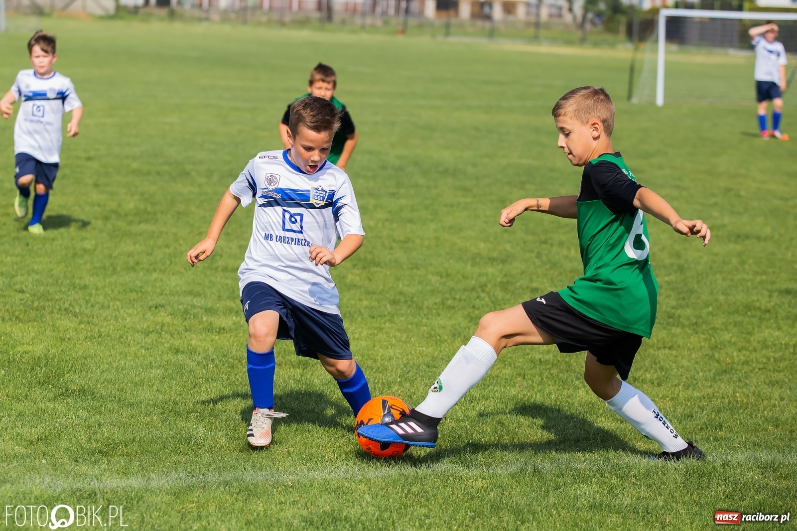 Zdjęcie w galerii na portalu naszraciborz.pl: Eliminacje do turnieju Silesia Cup w Studziennej [FOTO] wiadomości z regionu