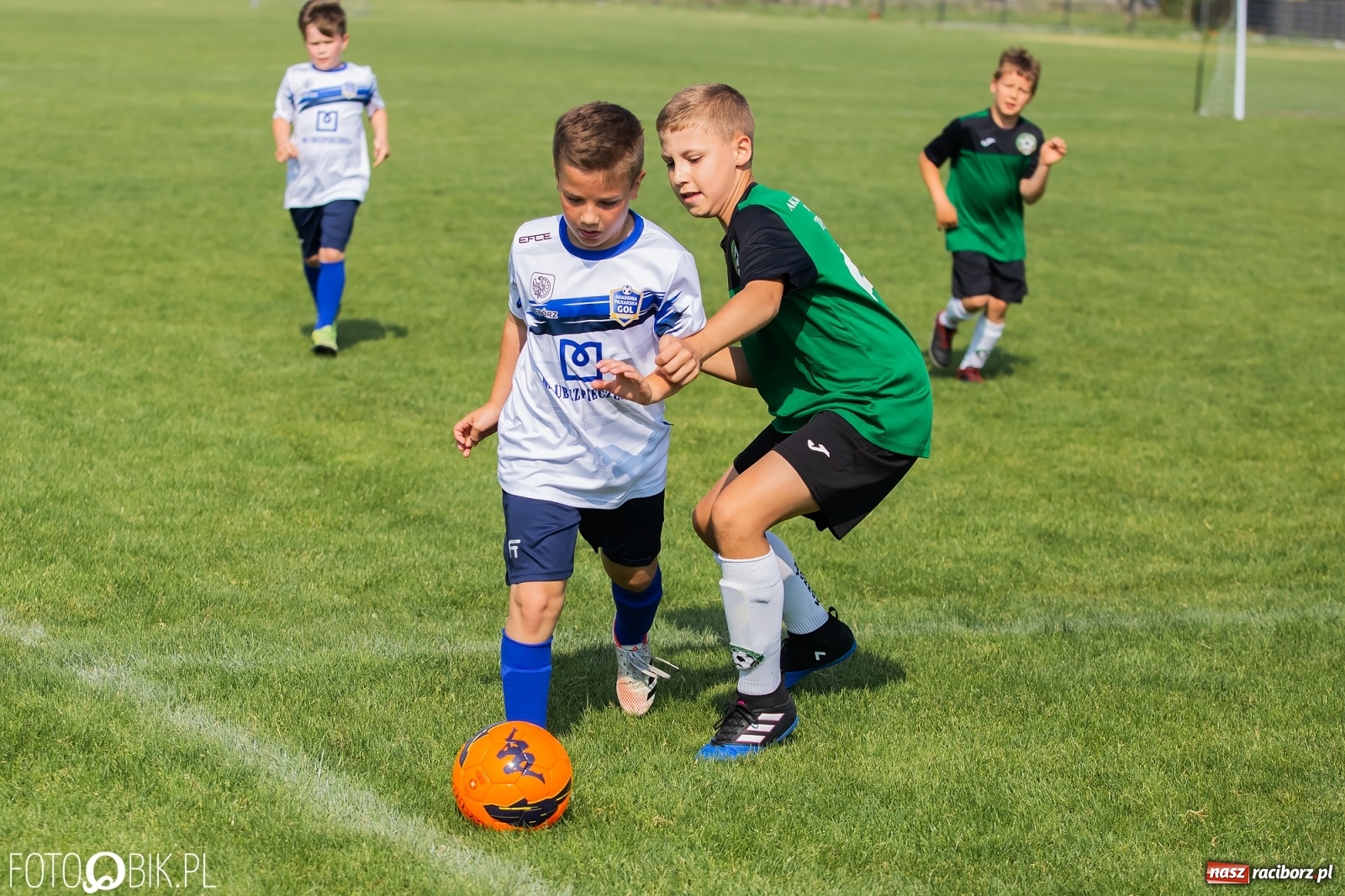 Zdjęcie w galerii na portalu naszraciborz.pl: Eliminacje do turnieju Silesia Cup w Studziennej [FOTO] wiadomości z regionu