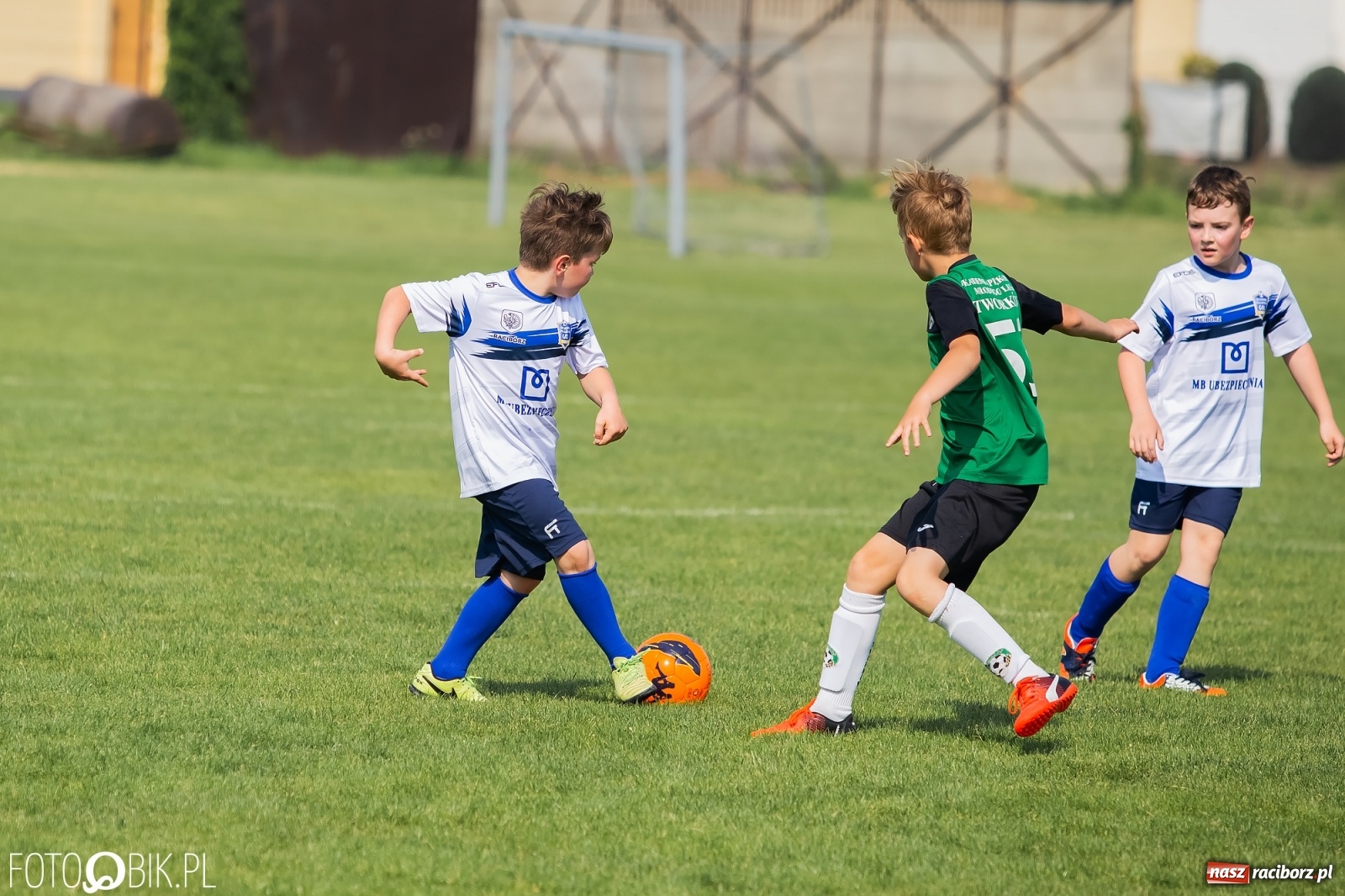 Zdjęcie w galerii na portalu naszraciborz.pl: Eliminacje do turnieju Silesia Cup w Studziennej [FOTO] wiadomości z regionu