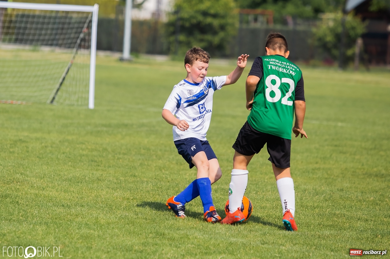 Zdjęcie w galerii na portalu naszraciborz.pl: Eliminacje do turnieju Silesia Cup w Studziennej [FOTO] wiadomości z regionu