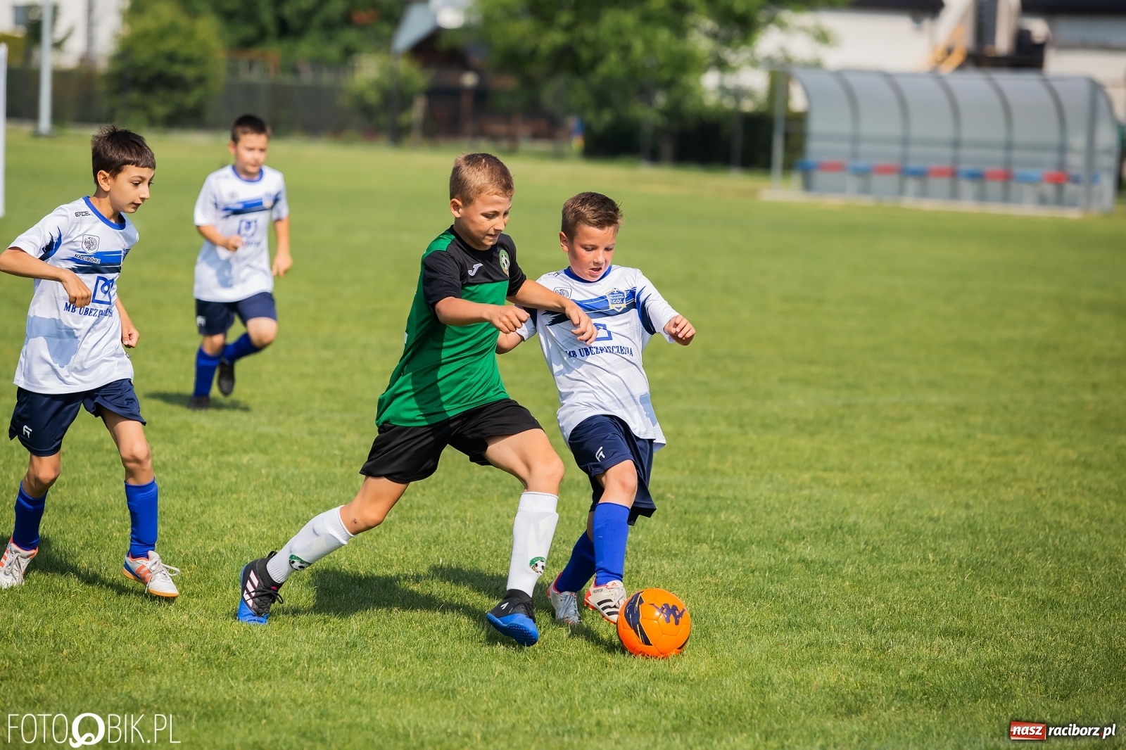 Zdjęcie w galerii na portalu naszraciborz.pl: Eliminacje do turnieju Silesia Cup w Studziennej [FOTO] wiadomości z regionu