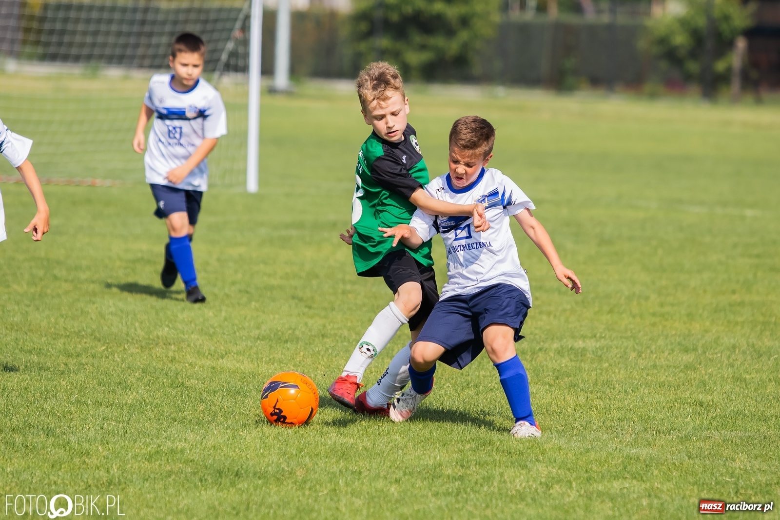 Zdjęcie w galerii na portalu naszraciborz.pl: Eliminacje do turnieju Silesia Cup w Studziennej [FOTO] wiadomości z regionu